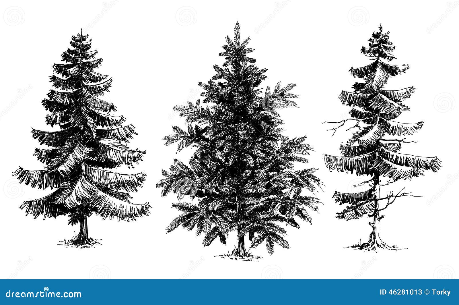árvores Dos Pinheiros Natal Ilustrações, Vetores E Clipart De Stock – (286  Stock Illustrations)