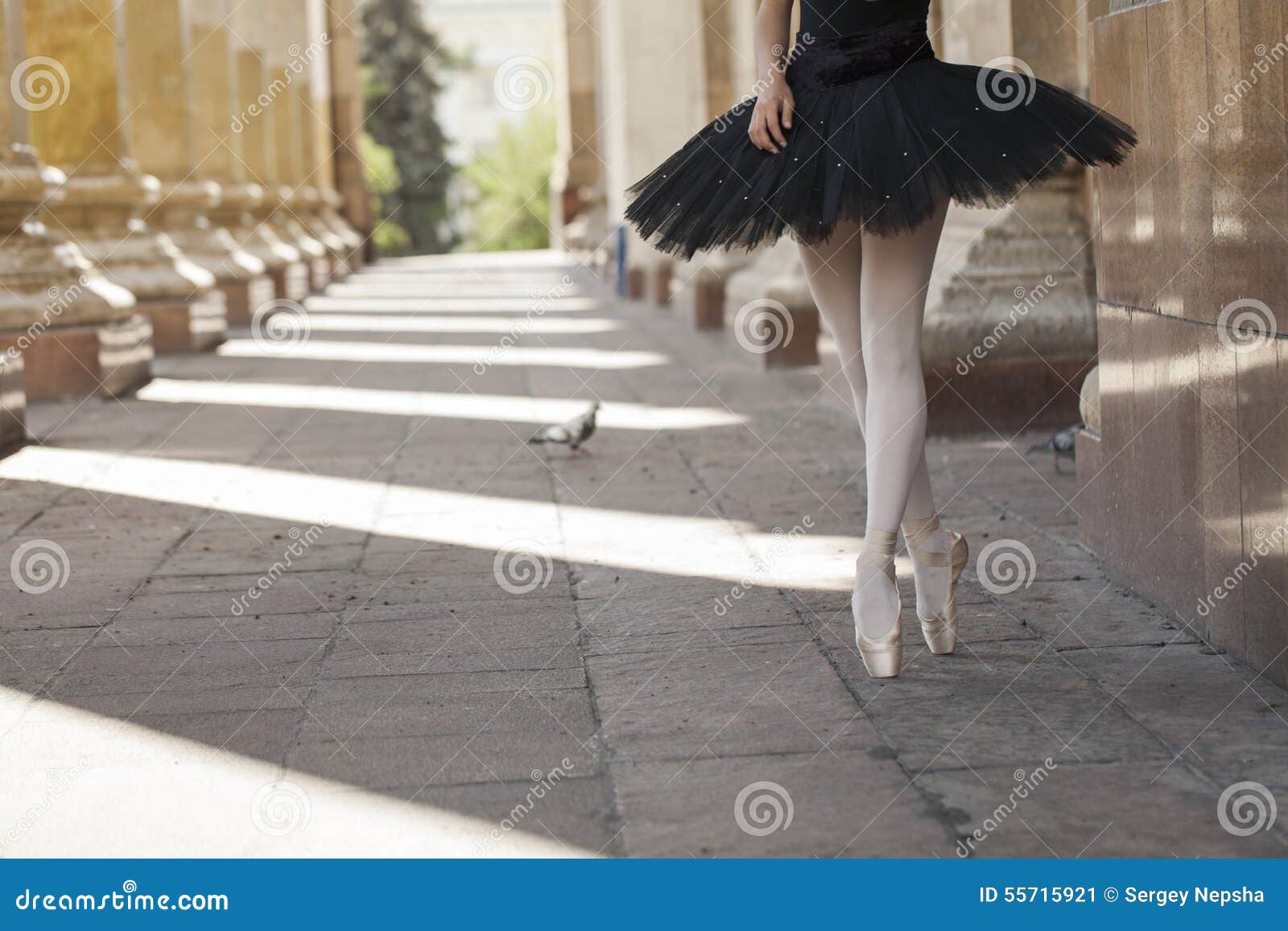 È ideale. Appartamenti della ballerina della ragazza che stanno sulle punte dei piedi