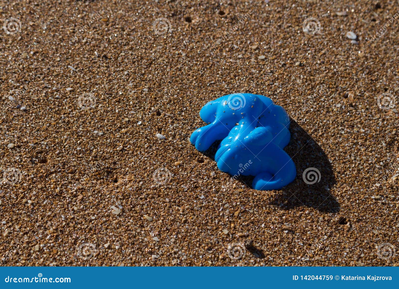 Écologie : découvertes de plage - moule bleu d'hippocampe. Le moule bleu éclairé d'hippocampe pour des enfants perdus ou oubliés, a trouvé sur le sable d'une plage Une partie des découvertes réglées de plage Safi, Maroc