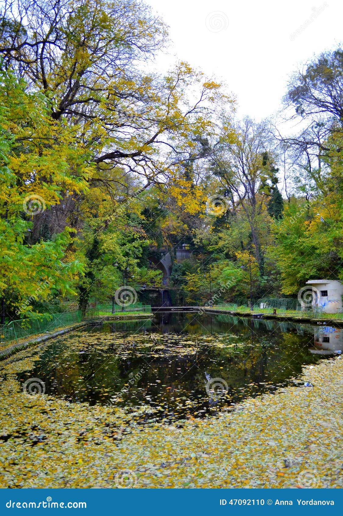 Étang de parc de ville d'automne. Le jaune tombé part sur l'eau d'étang de parc de ville