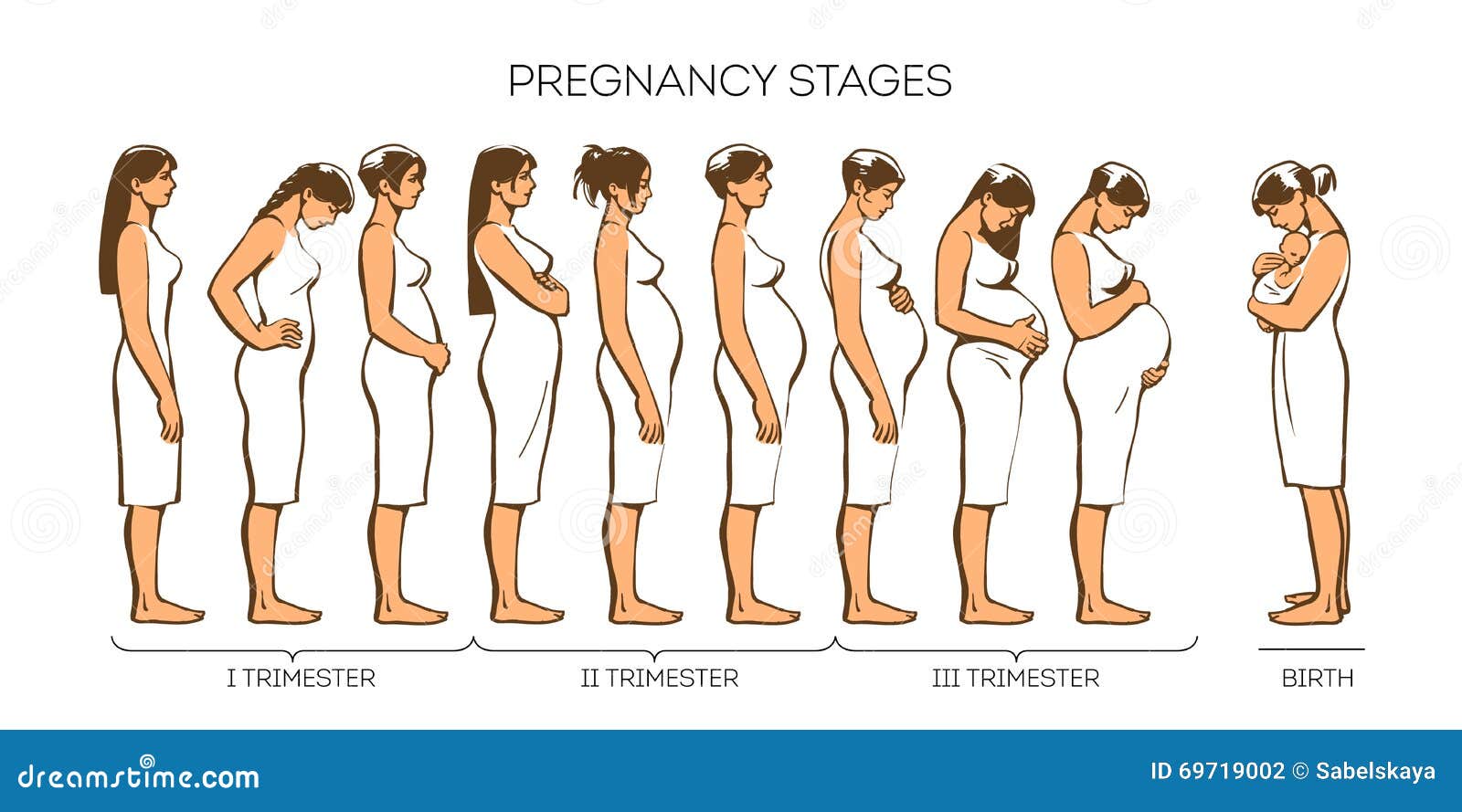 Étapes De Grossesse De Femmes Illustration de Vecteur Illustration du