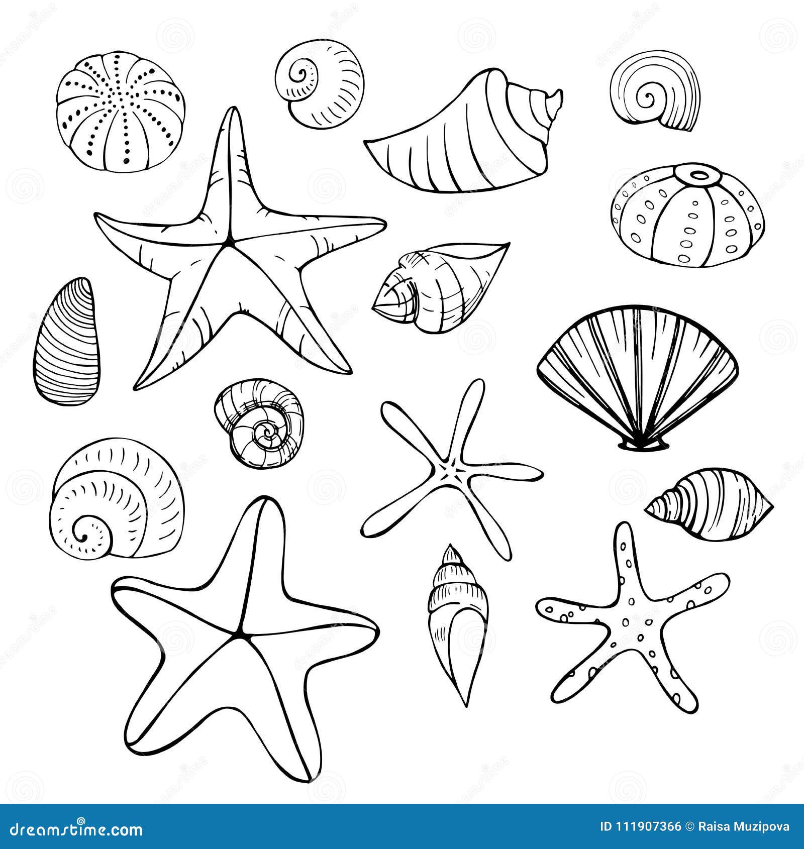 Coloriage étoile De Mer Et Coquillage Étoiles De Mer Et Coquillages Illustration De Croquis De Vecteur