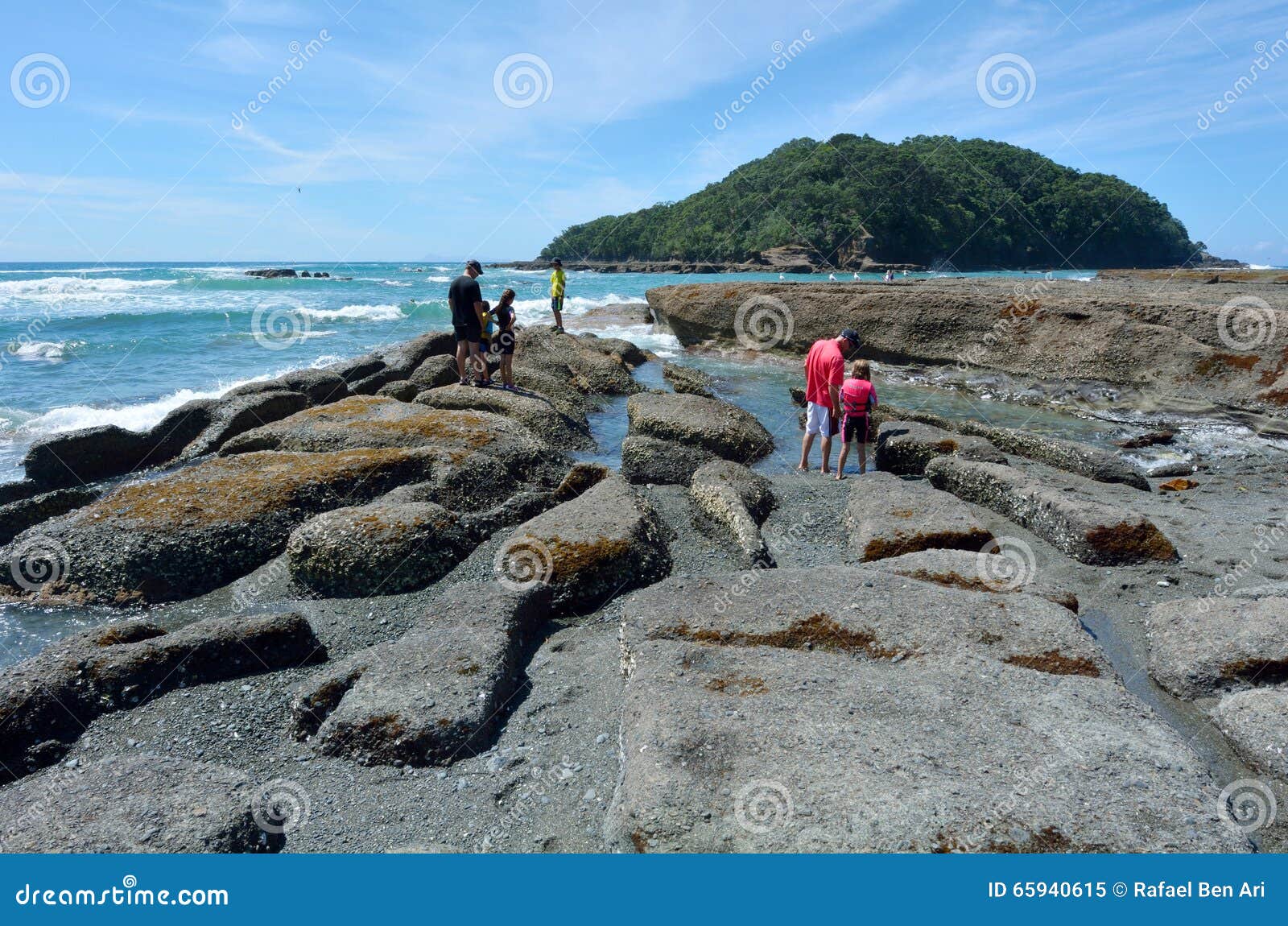 île de la chèvre nouvelle-zélande