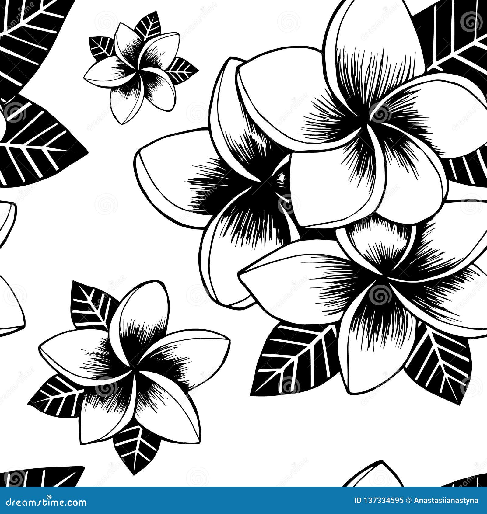 Hand Drawn Frangipani Flower Seamless Pattern Stock Vector