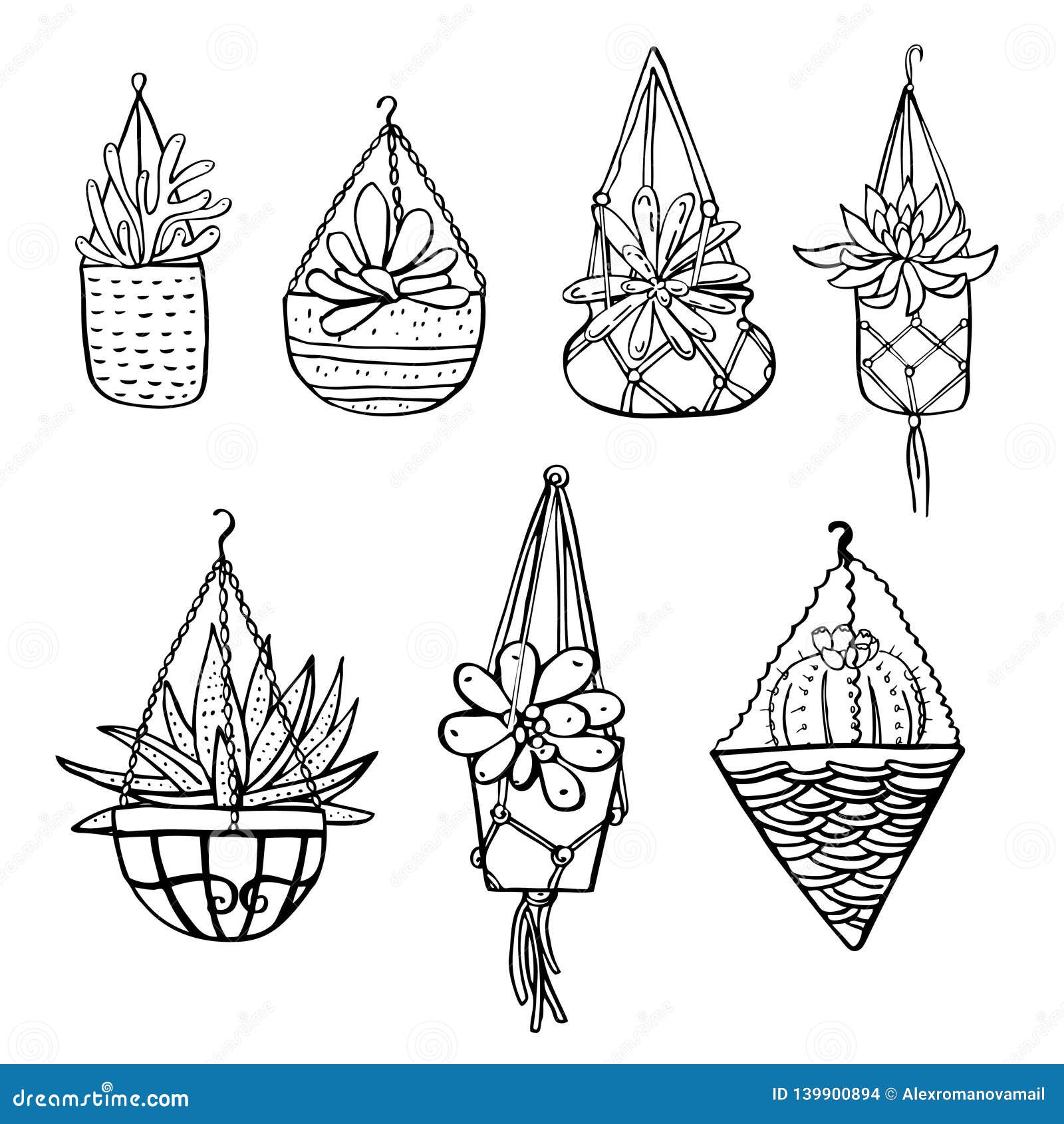 Cactus and Succulent Plants in Hanging Flowerpots. Vector Hand Drawn