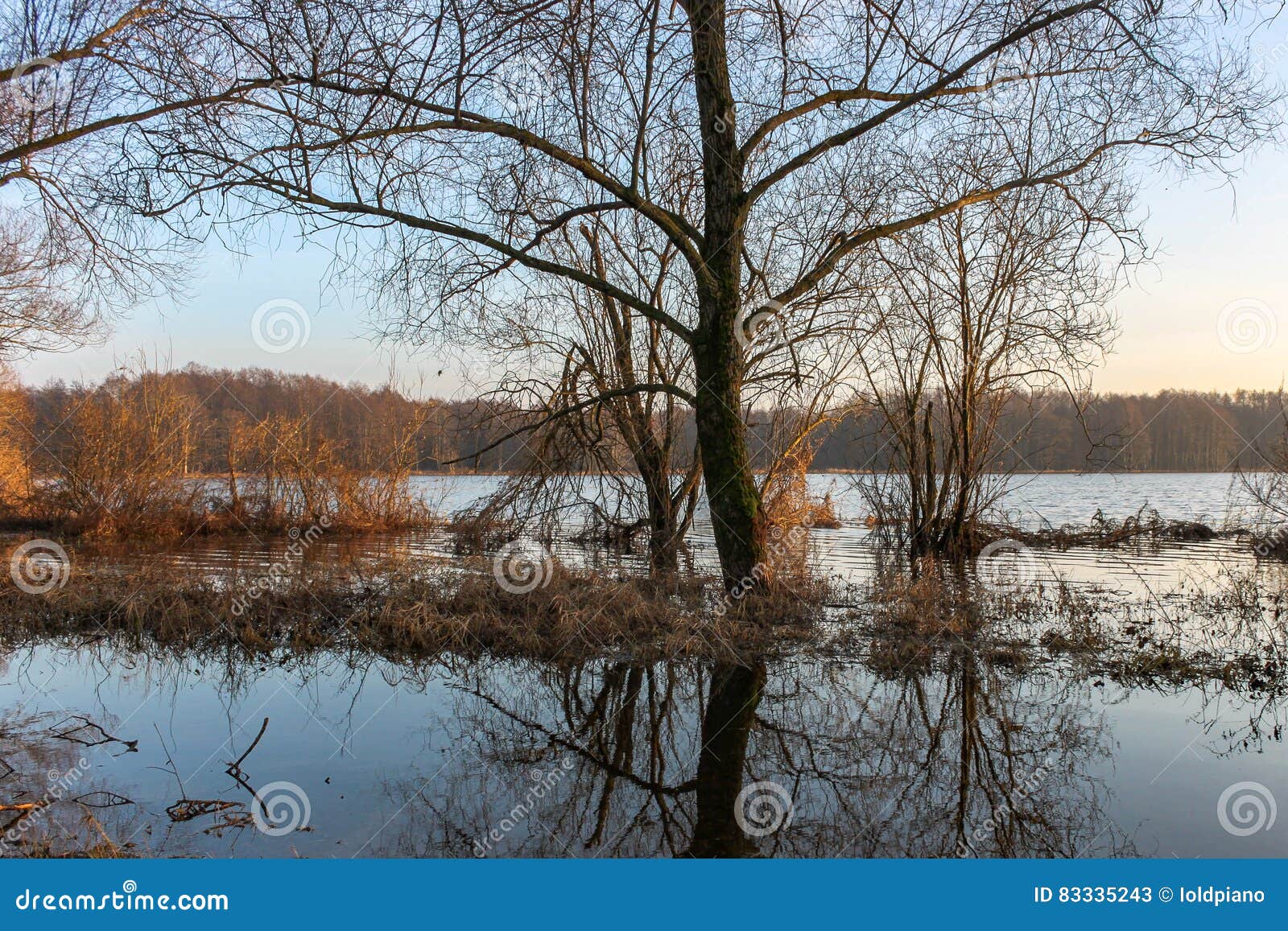 översvämmade fält. Översvämmade fält västra Litauen Solnedgång