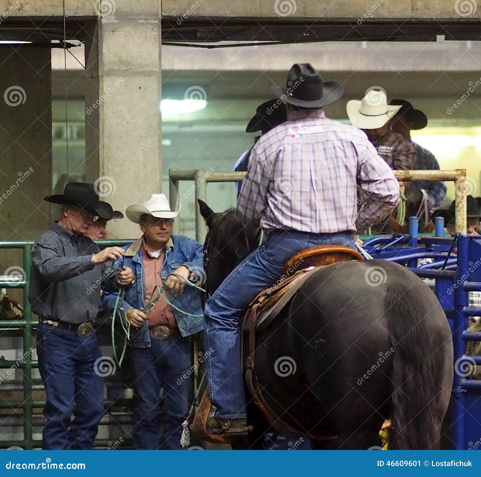 Łydkowy Roping kowboj Na Horseback. Łydkowy Roper Przy Farmfare Międzynarodowy Edmonton Alberta Listopad 2014