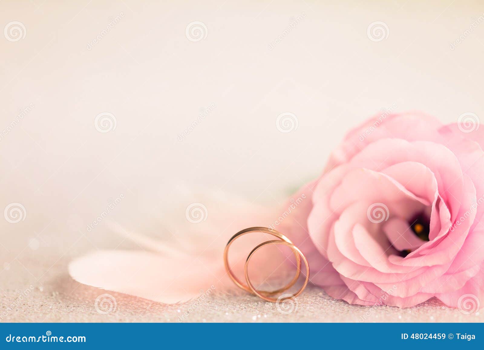 Ślubny tło z złocistymi pierścionkami, delikatnym kwiatem i światło szpilką,