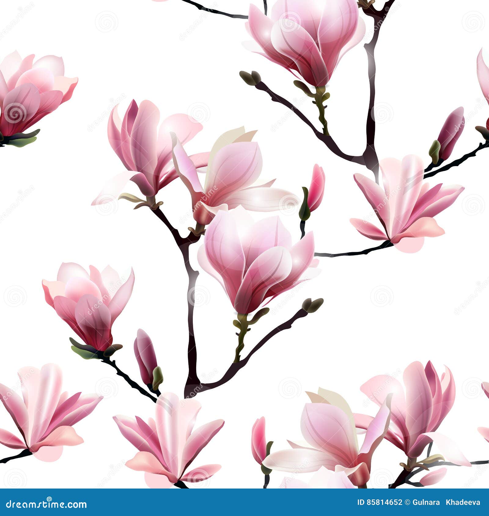Άνευ ραφής διανυσματικό σχέδιο με το άνθος brunch Magnolia διάνυσμα