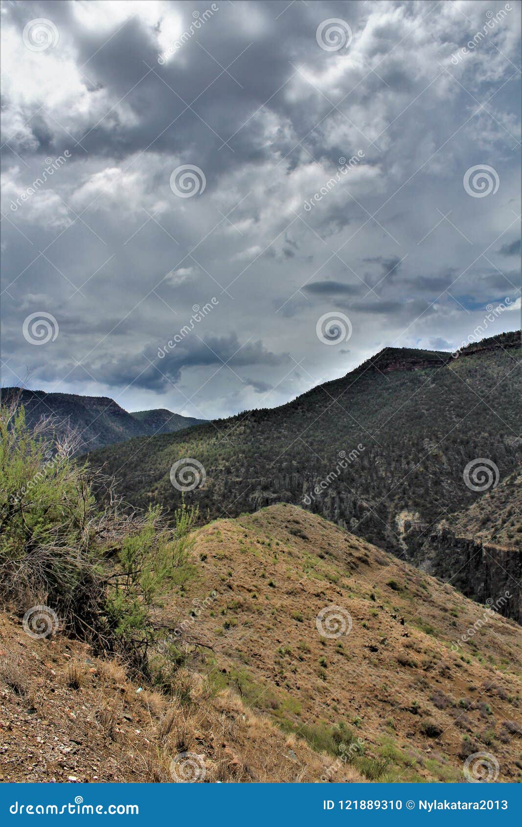 Άσπρη ινδική επιφύλαξη Apache βουνών, Αριζόνα, Ηνωμένες Πολιτείες. Φυσική άποψη τοπίων της άσπρης βουνών περιοχής επιφύλαξης Apache ινδικής εντοπίζω στην Αριζόνα, Ηνωμένες Πολιτείες