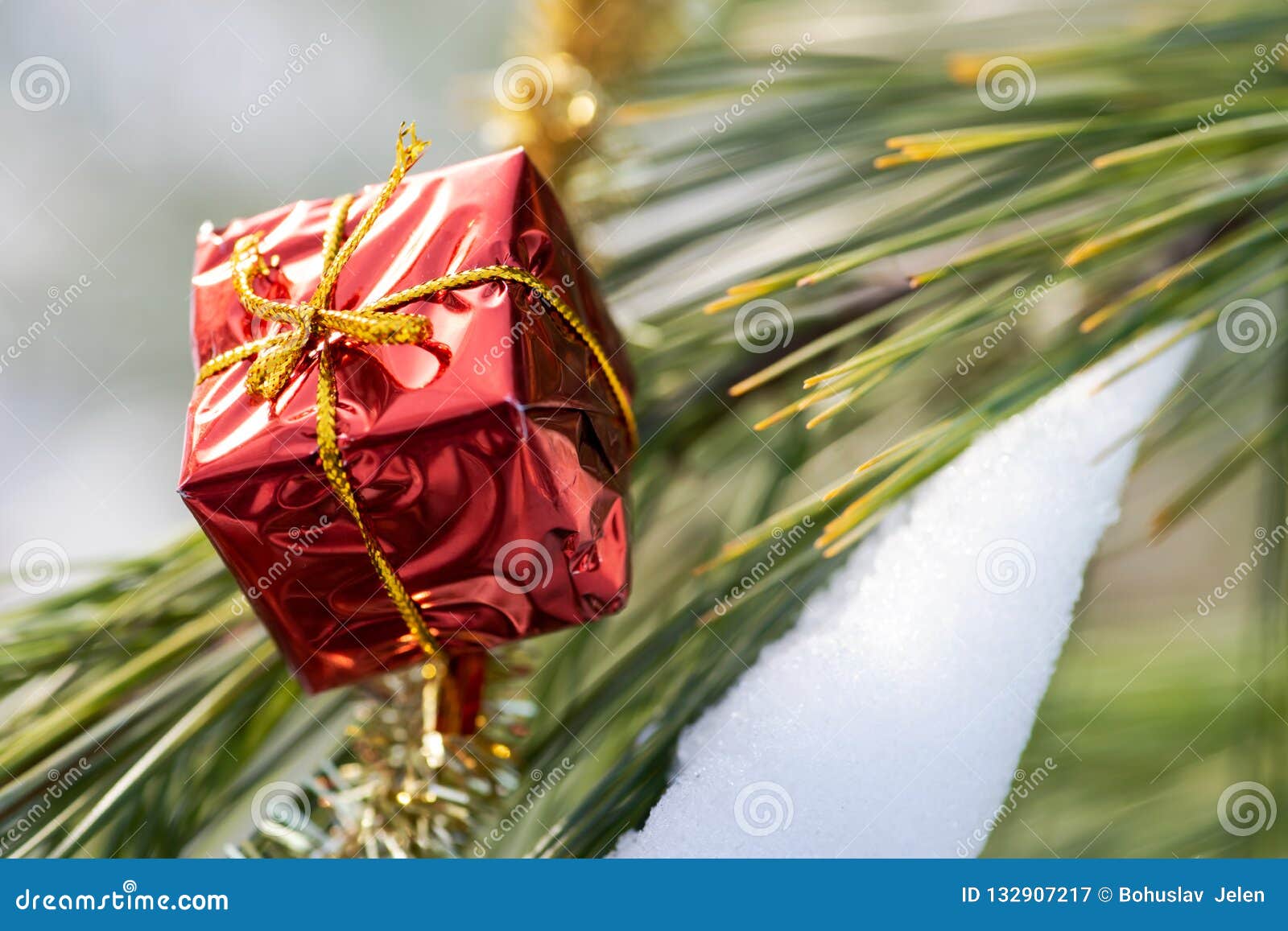 Έννοια διακοσμήσεων χειμερινών διακοπών: Ντεκόρ δώρων Χριστουγέννων, tinsel γιρλάντα και παγωμένοι χιονισμένοι κλαδίσκοι δέντρων πεύκων στο δασικό πάρκο κονσερβών