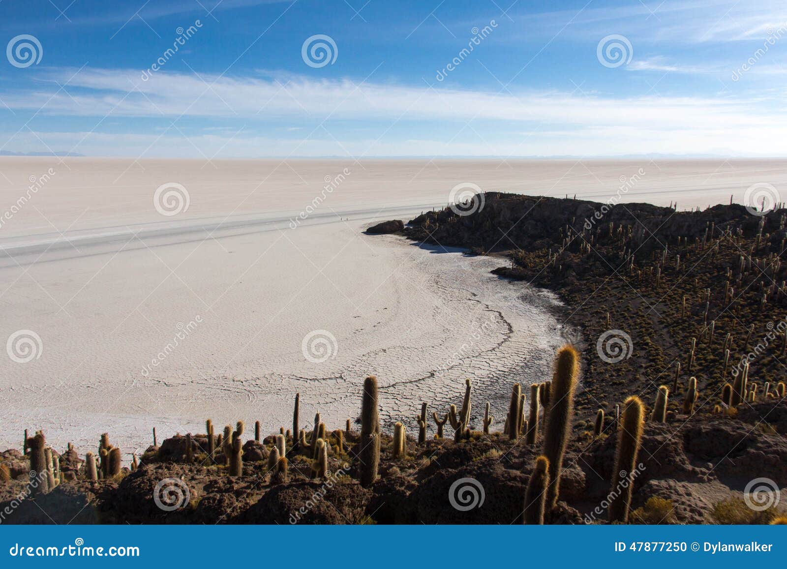 Έρημος Atacama. Η έρημος Atacama, στη Βολιβία, Νότια Αμερική Η ξηρότερη έρημος στον κόσμο, το βολιβιανό Atacama είναι κατ' οίκον σε μερικά από τα πιό υπερφυσικά, τοπία έμπνευσης στον κόσμο