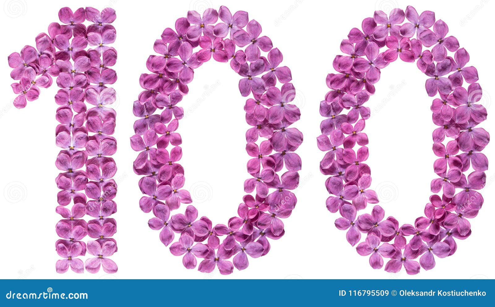 Αραβικός αριθμός 100, εκατό, από τα λουλούδια της πασχαλιάς, που απομονώνονται στο άσπρο υπόβαθρο