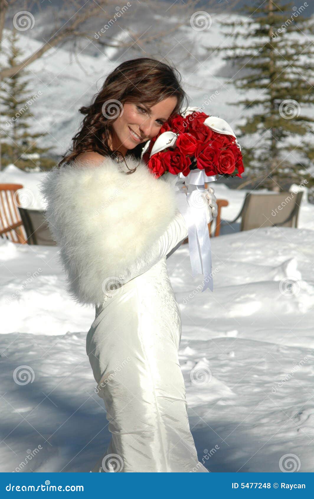 βουνό νυφών. όμορφο βουνό εκμετάλλευσης εσθήτων γουνών νυφών μπροστινό έξω από το κόκκινο χιόνι τριαντάφυλλων που στέκεται την τακτοποιημένη γαμήλια λευκή γυναίκα