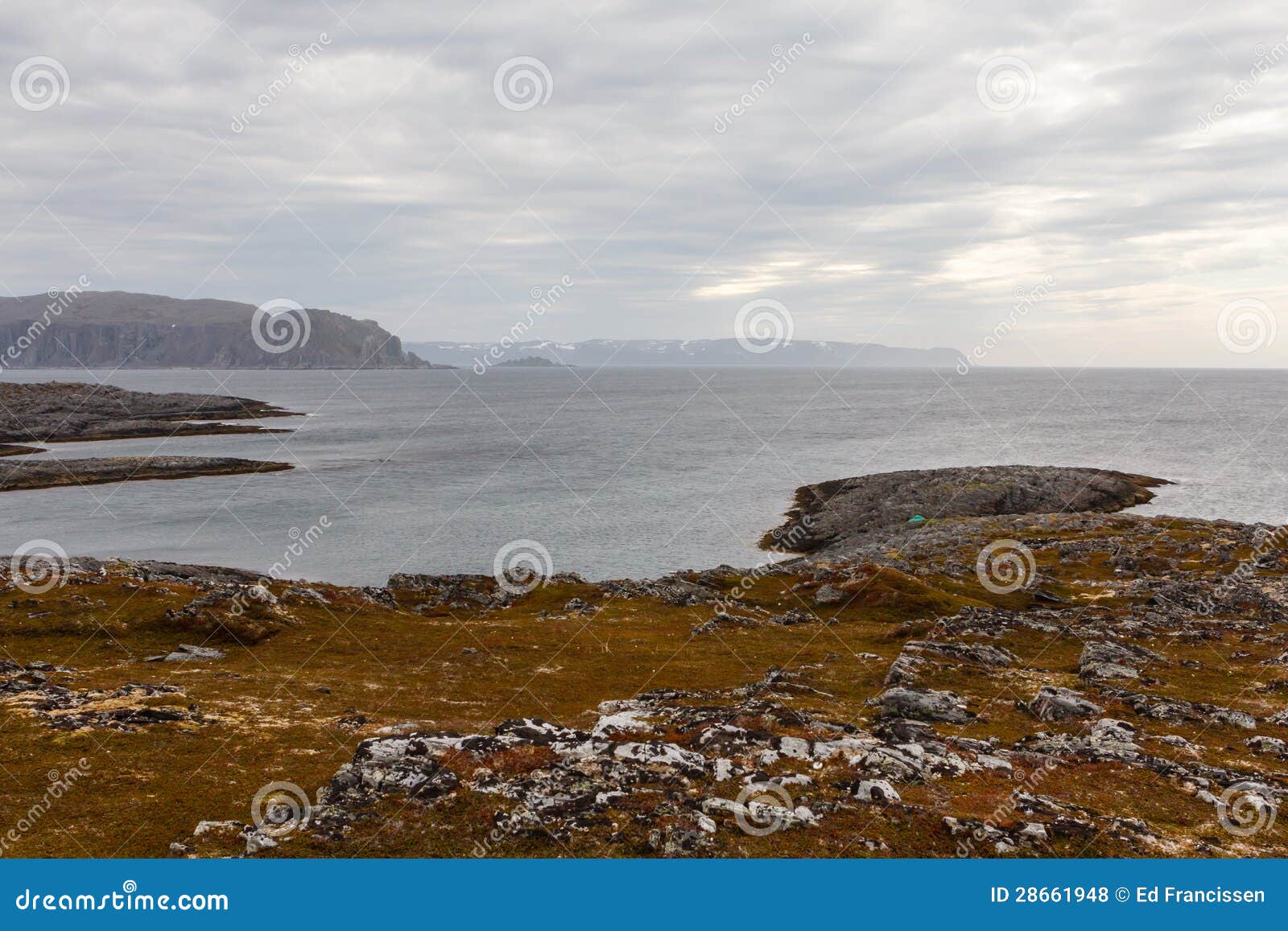 Δασύτριχη φύση κοντά στο φάρο από Slettnes.Norway. Το Slettnes είναι ο πιό βορειότατος φάρος ηπειρωτικών χωρών στον κόσμο.