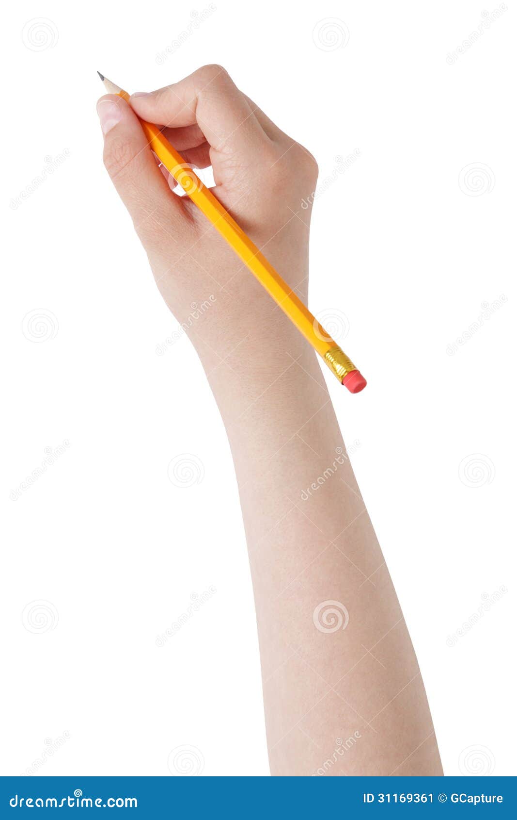Θηλυκό μολύβι εκμετάλλευσης χεριών εφήβων με την κορυφή γομών, που απομονώνεται στο λευκό