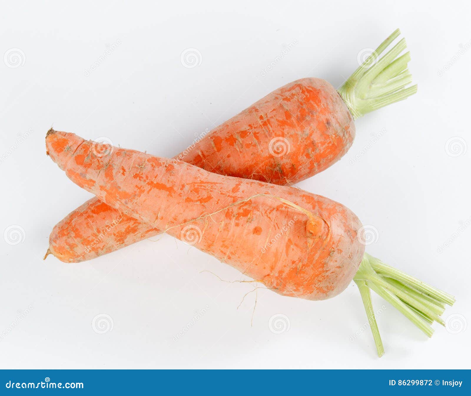 Καρότα. λευκό καρότων ανασκόπηση&sig