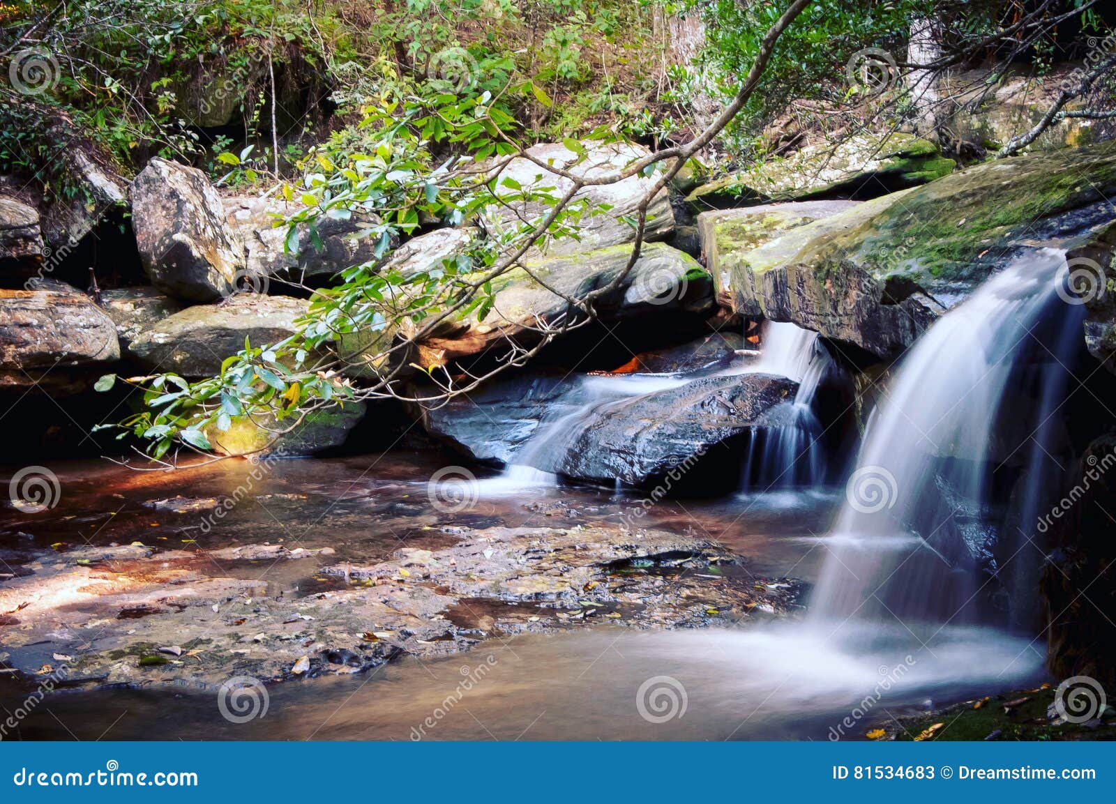 Καταρράκτης σε πιό forrest. Ρεύμα ζουγκλών Waterfalling