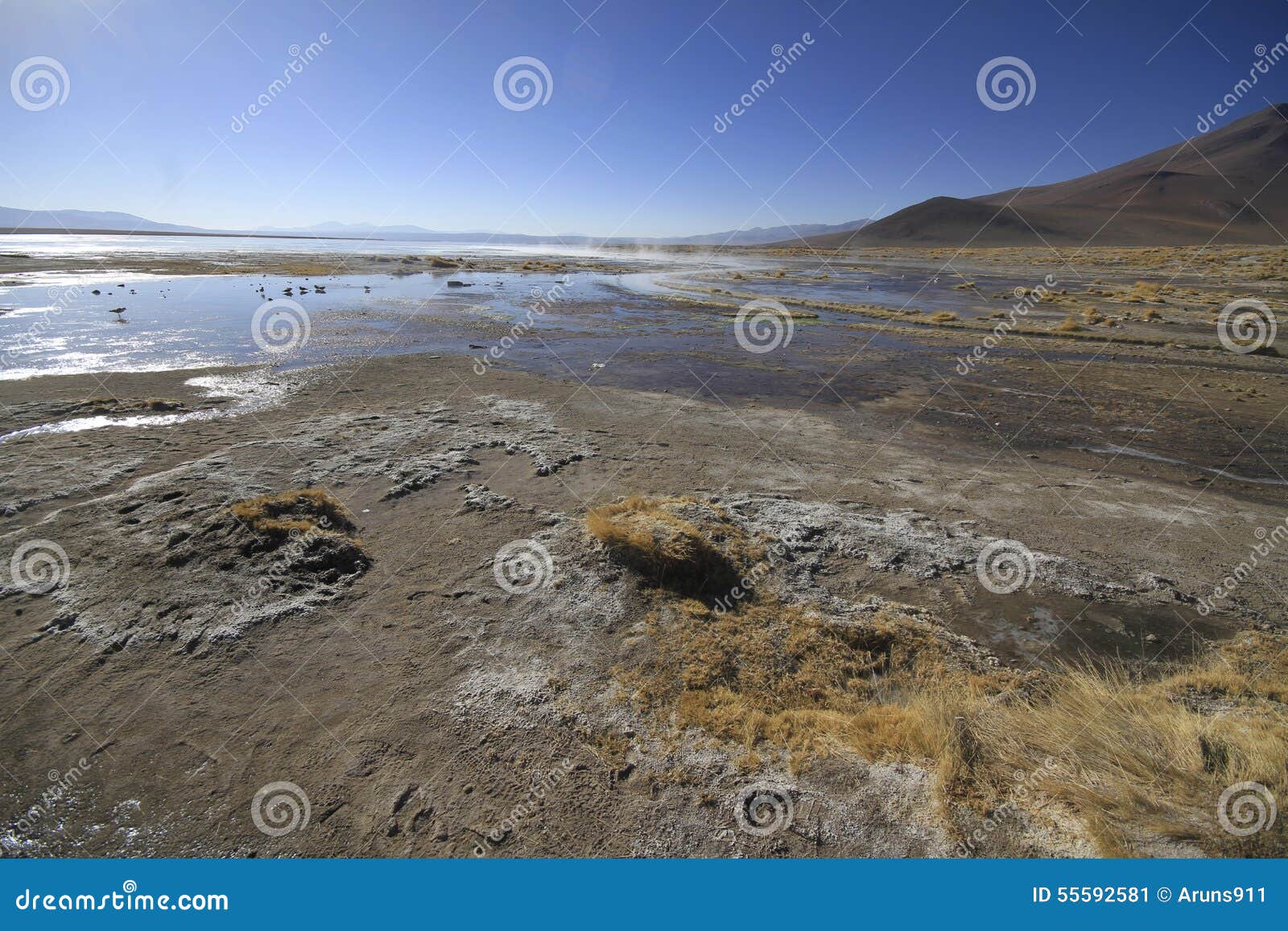 Καυτές ανοίξεις, Eduardo Alveroa, Uyuni Βολιβία. Άποψη των καυτών ελατηρίων, Geysers, Eduardo Alveroa, Uyuni Βολιβία