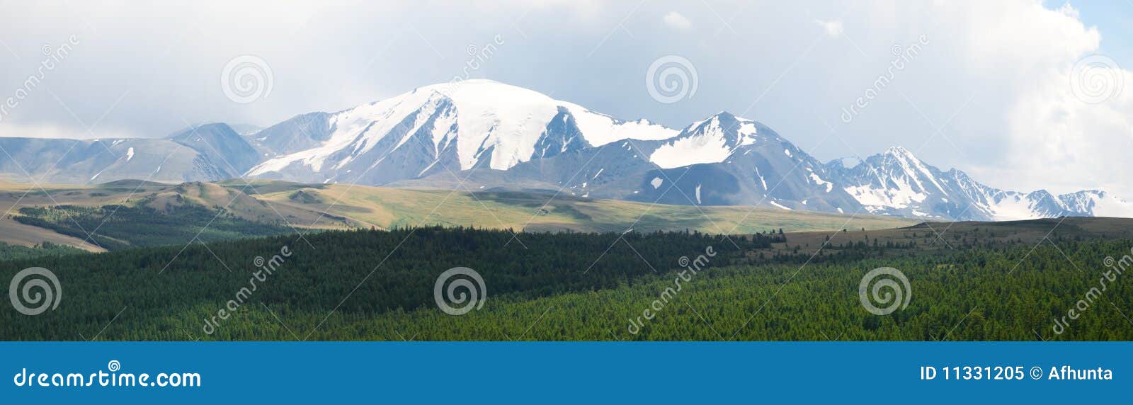 μέγιστος χιονώδης βουνών. πράσινο μέγιστο χιονώδες taiga βουνών