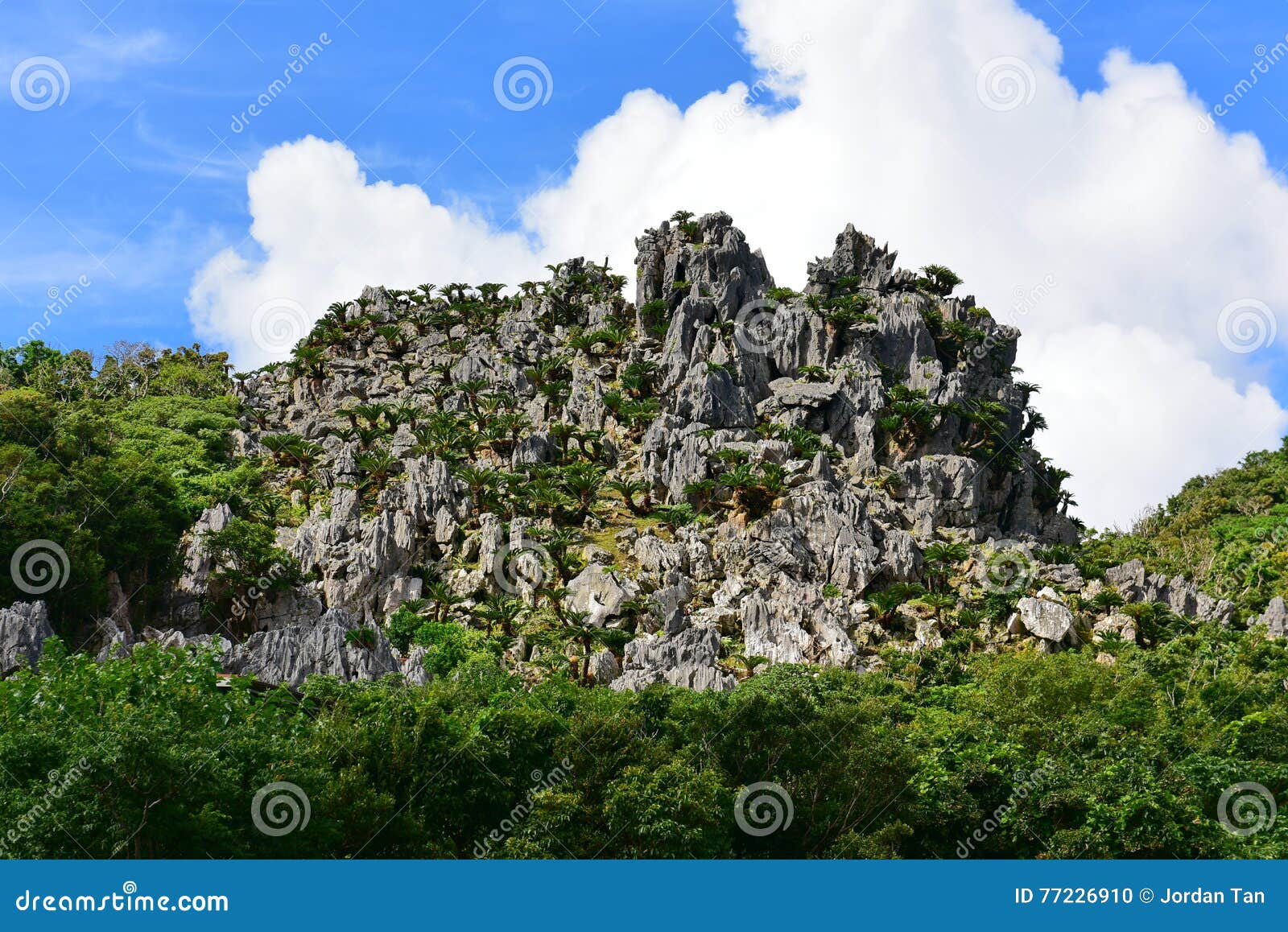 Μεγάλοι σχηματισμοί βράχου ασβεστόλιθων στο πάρκο Daisekirinzan στη Οκινάουα, Ιαπωνία