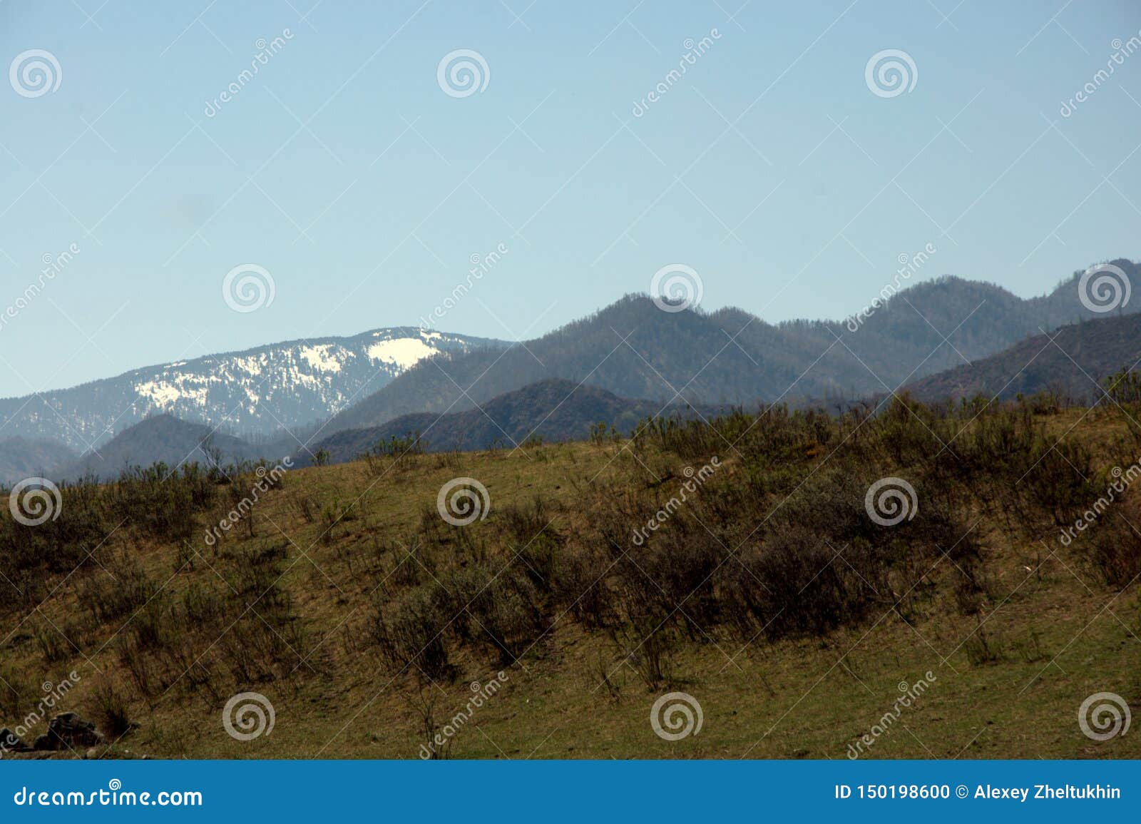 Οι σειρές υψηλών βουνών που εισβάλλονται με το κωνοφόρο δάσος κάτω από το μπλε ουρανό και τον άσπρο σωρείτη καλύπτουν Η Δημοκρατία Gorny Altai