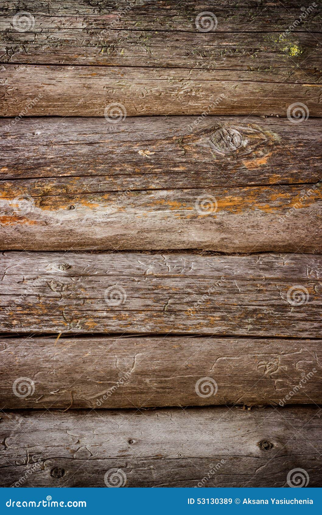παλαιό δάσος σύστασης αν&alp. Σύσταση υποβάθρου του παλαιού ξύλινου αναδρομικού κούτσουρου