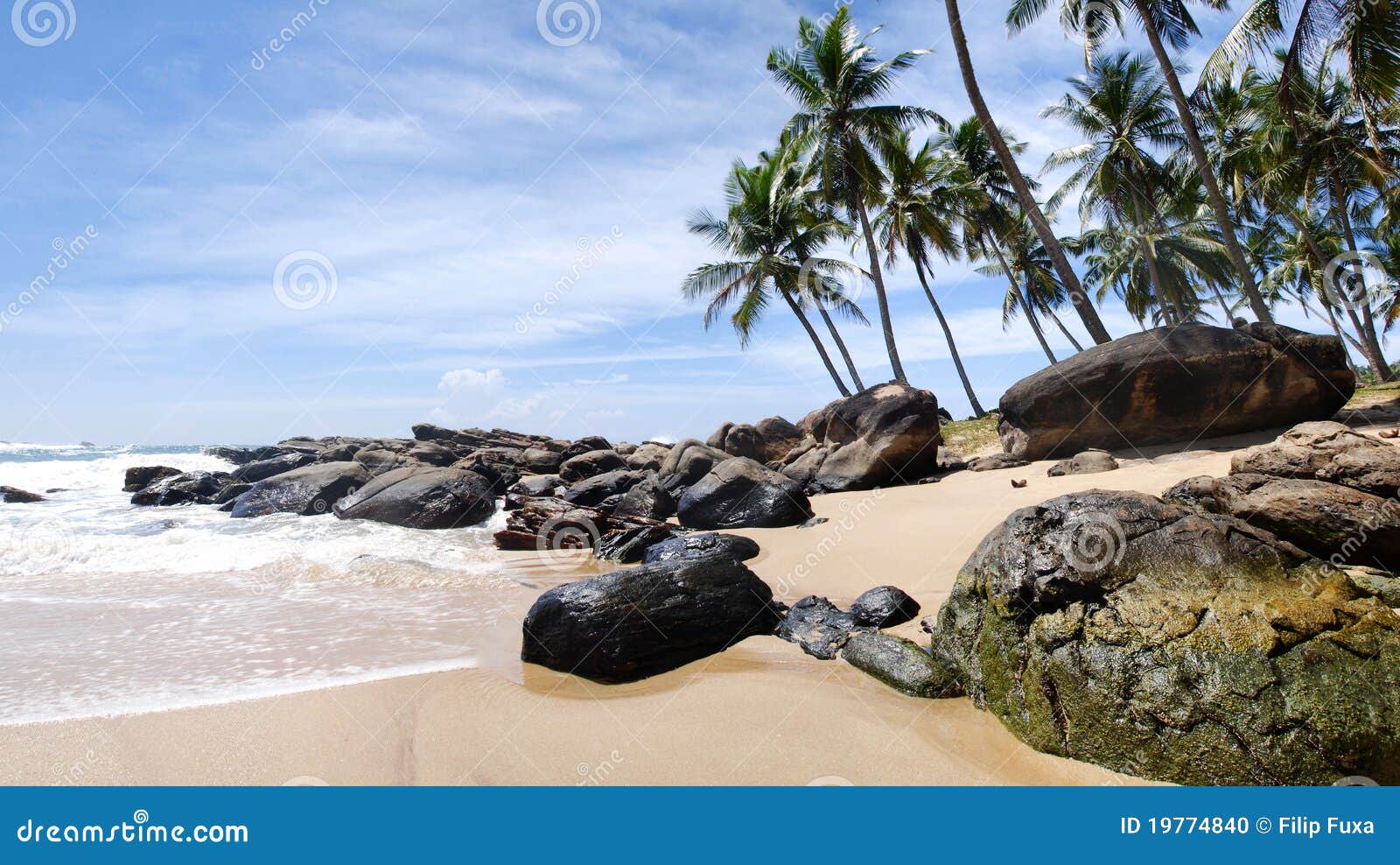 παράδεισος τροπικός. Lanka ένωσης παραλιών πέρα από το τροπικό τυρκουάζ sri θάλασσας παραδείσου πανοράματος φοινικών tangalle