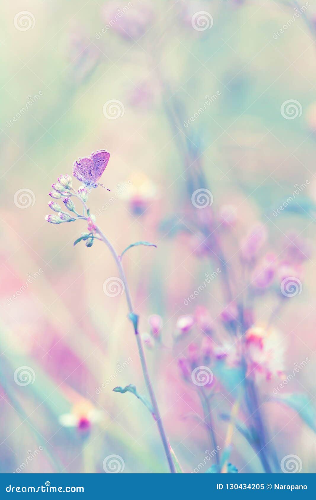 Πεταλούδα φαντασίας στο λουλούδι, εκλεκτής ποιότητας υπόβαθρο κρητιδογραφιών φύσης