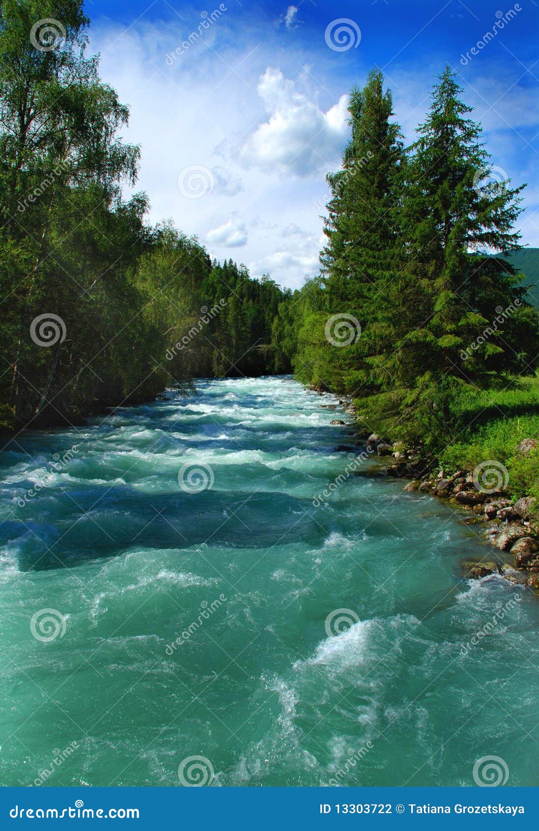ποταμός βουνών kucherla 2. ρέοντας δασικές πράσινες άγρια περιοχές ύδατος της Ρωσίας ποταμών βουνών τοπίων kucherla altai