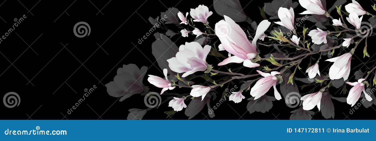 Ρεαλιστικό λουλούδι Magnolia που απομονώνεται στο μαύρο υπόβαθρο Ο κλάδος Magnolia είναι ένα σύμβολο της άνοιξης, καλοκαίρι, θηλυ. Ρεαλιστικό λουλούδι, κλάδος Magnolia που απομονώνεται στο μαύρο υπόβαθρο Ο κλάδος Magnolia είναι ένα σύμβολο της άνοιξης, καλοκαίρι, θηλυκή γοητεία, θηλυκότητα στο ύφος του ρεαλισμού τρισδιάστατο, ογκομετρικό ρόδινο λουλούδι, υπόβαθρο για την πρόσκληση, σχέδιο, παρουσίαση Της μεγάλης οθόνης r