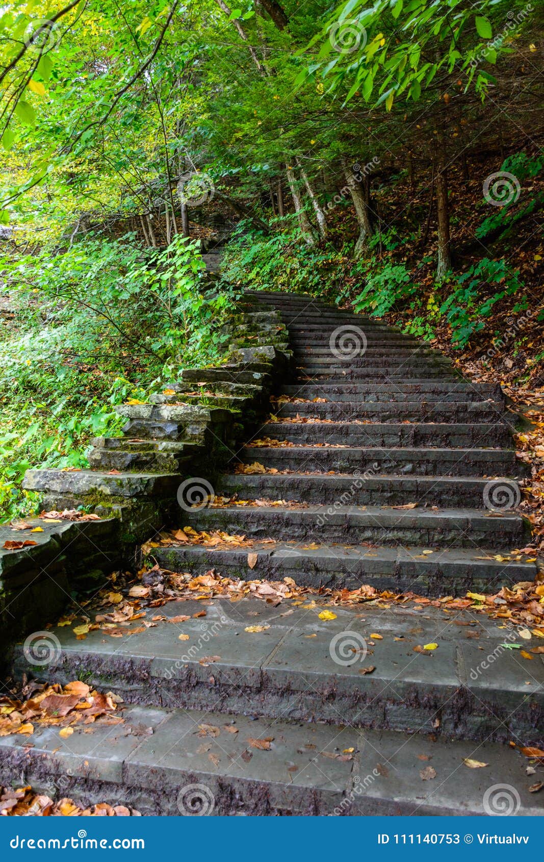 Το πέτρινο σκαλοπάτι στο δάσος στο βουτυρόγαλα πέφτει κρατικό πάρκο, Ithaca, Νέα Υόρκη, ΗΠΑ