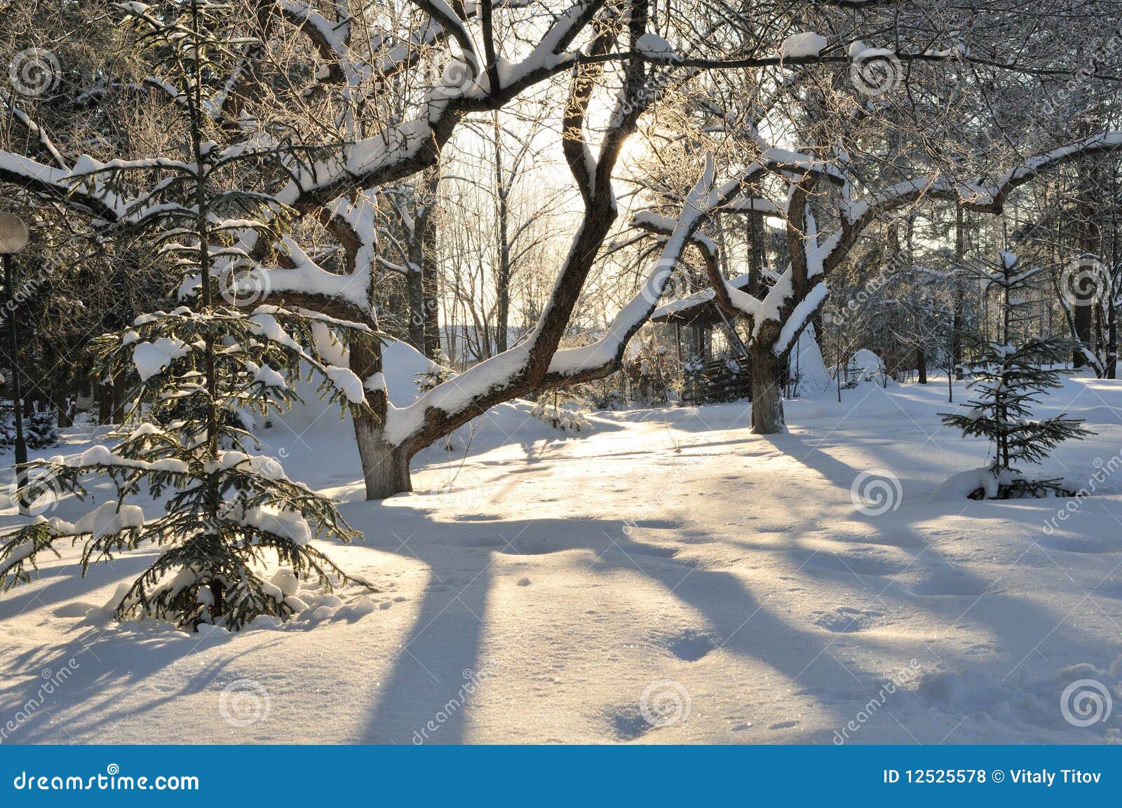 χειμώνας ηλιοβασιλέματ&omicr. αφηρημένος αναδρομικά φωτισμένος χειμώνας ηλιοβασιλέματος πάρκων σαφούς ημέρας