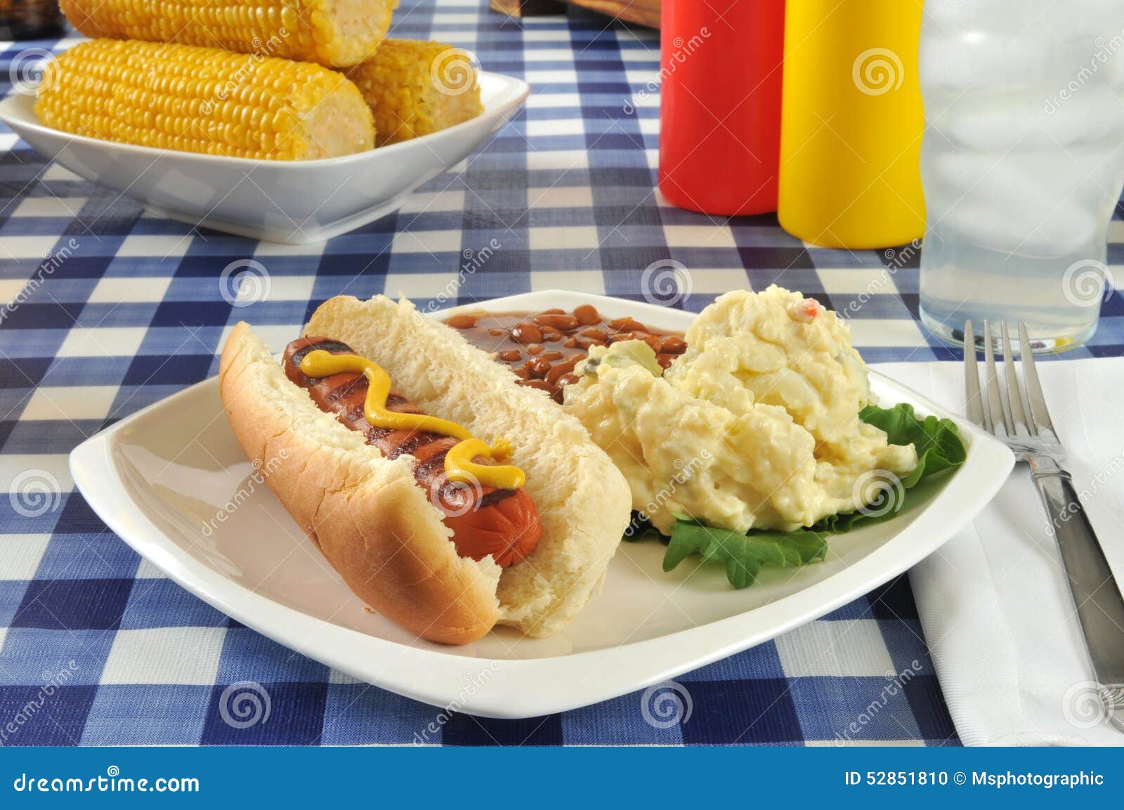 Ψημένο στη σχάρα σκυλί μουστάρδας. Ένα ψημένο στη σχάρα σκυλί μουστάρδας σε έναν πίνακα πικ-νίκ με τη σαλάτα πατατών και τα ψημένα φασόλια