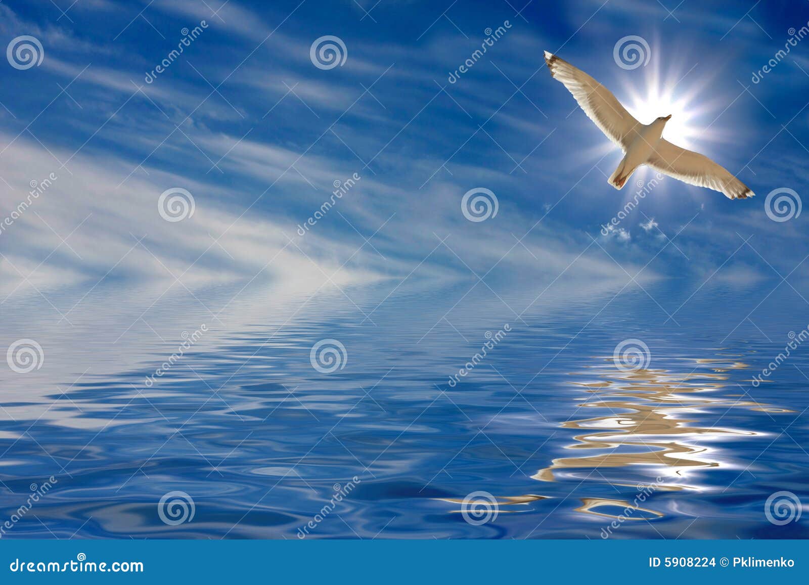 ψυχή πτήσης. μύγα πέρα από seagull θάλασσας