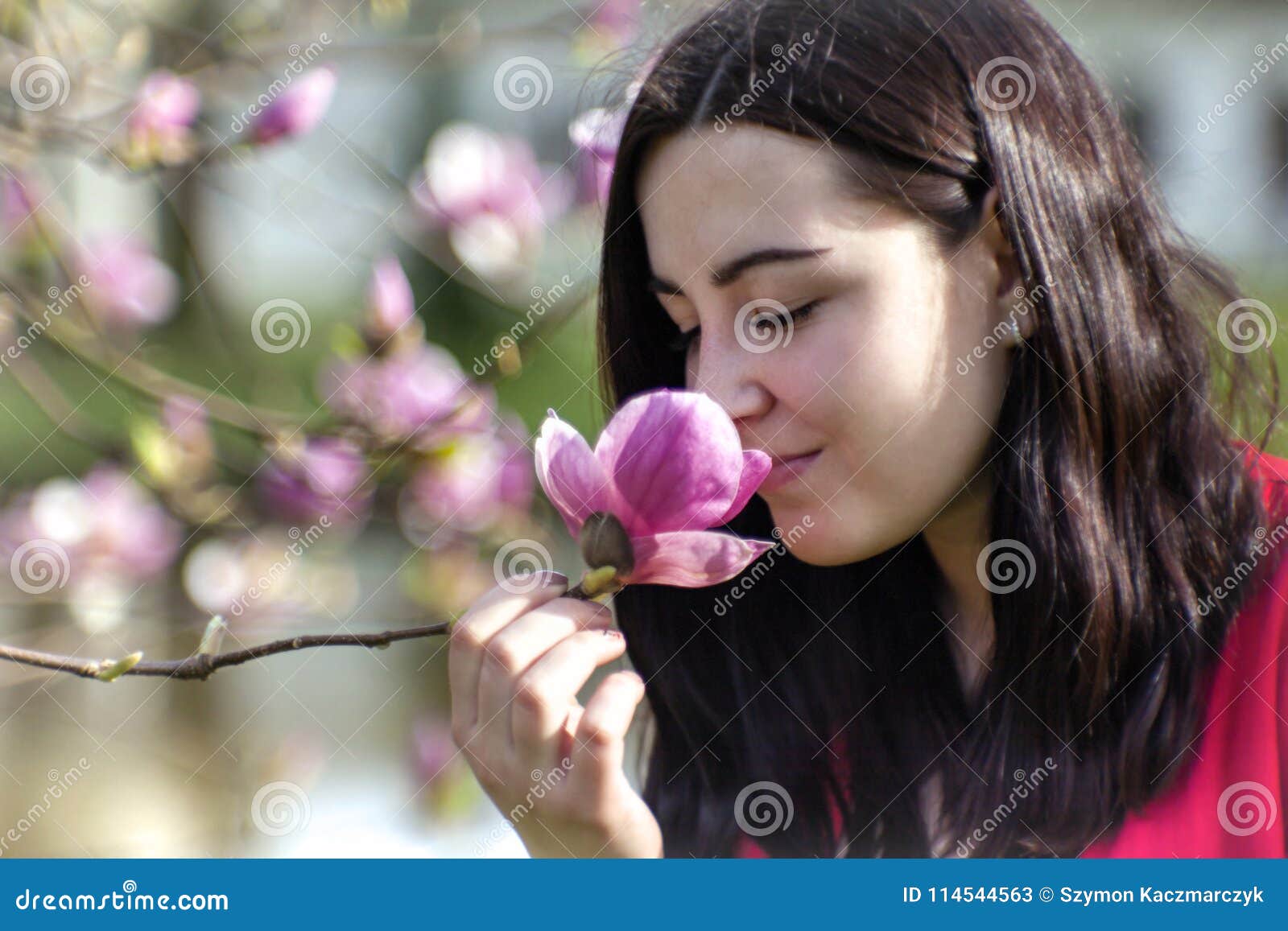 Όμορφο κορίτσι που μυρίζει τα λουλούδια Magnolia άνθησης στον κήπο πάρκων Λουλούδια Magnolia στον κήπο