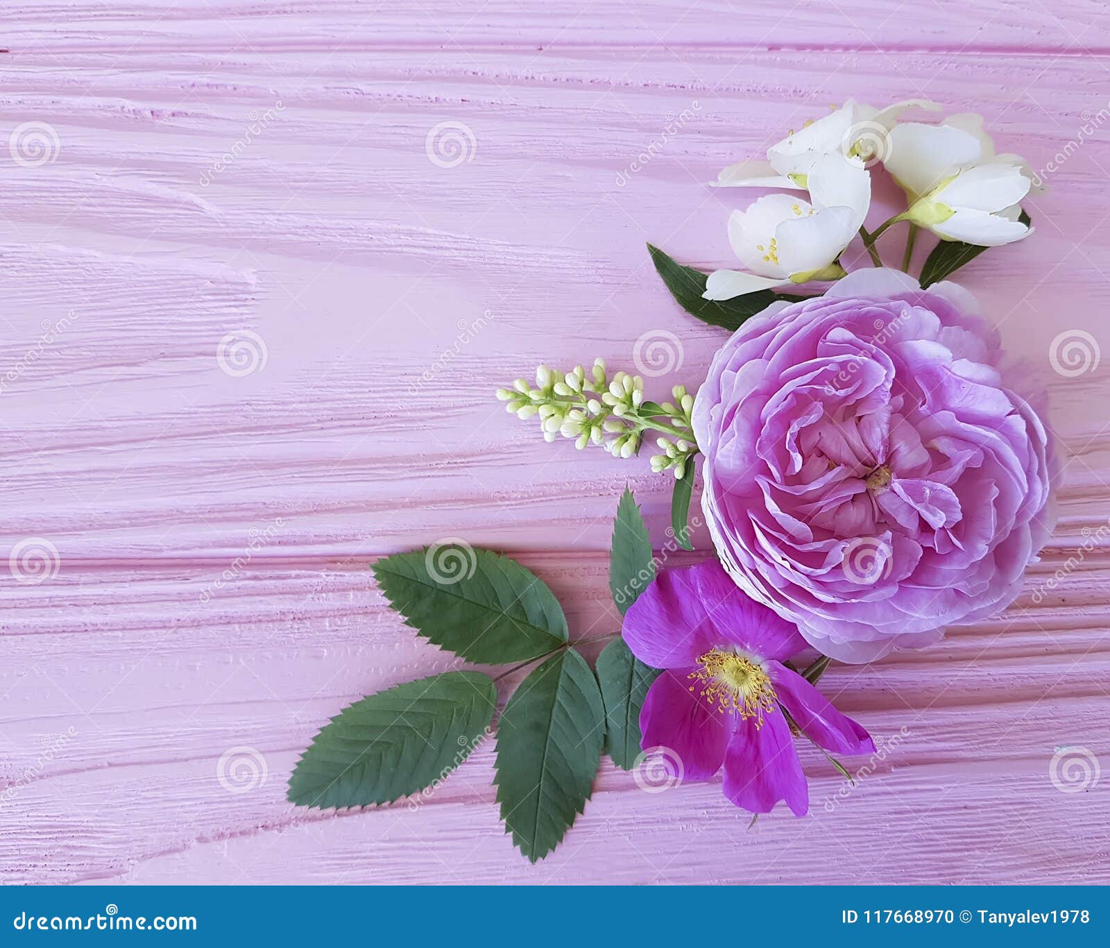 όμορφο πλαίσιο ανθοδεσμών τριαντάφυλλων σε ένα ρόδινο ξύλινο jasmine υποβάθρου magnolia