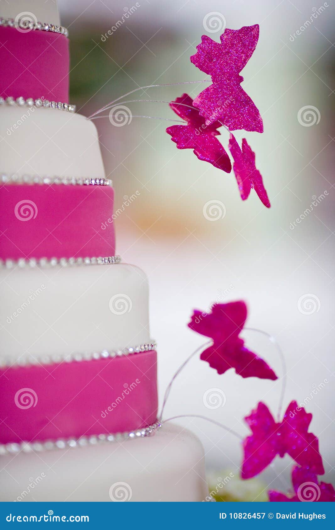 όμορφος γάμος κέικ