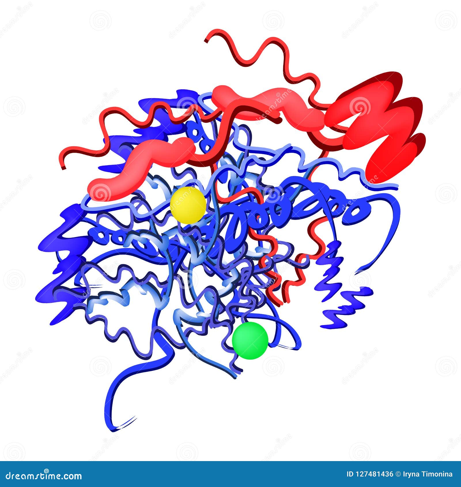 Амилаза молекулярная химическая формула Энзим панкреаса Инфографика ...