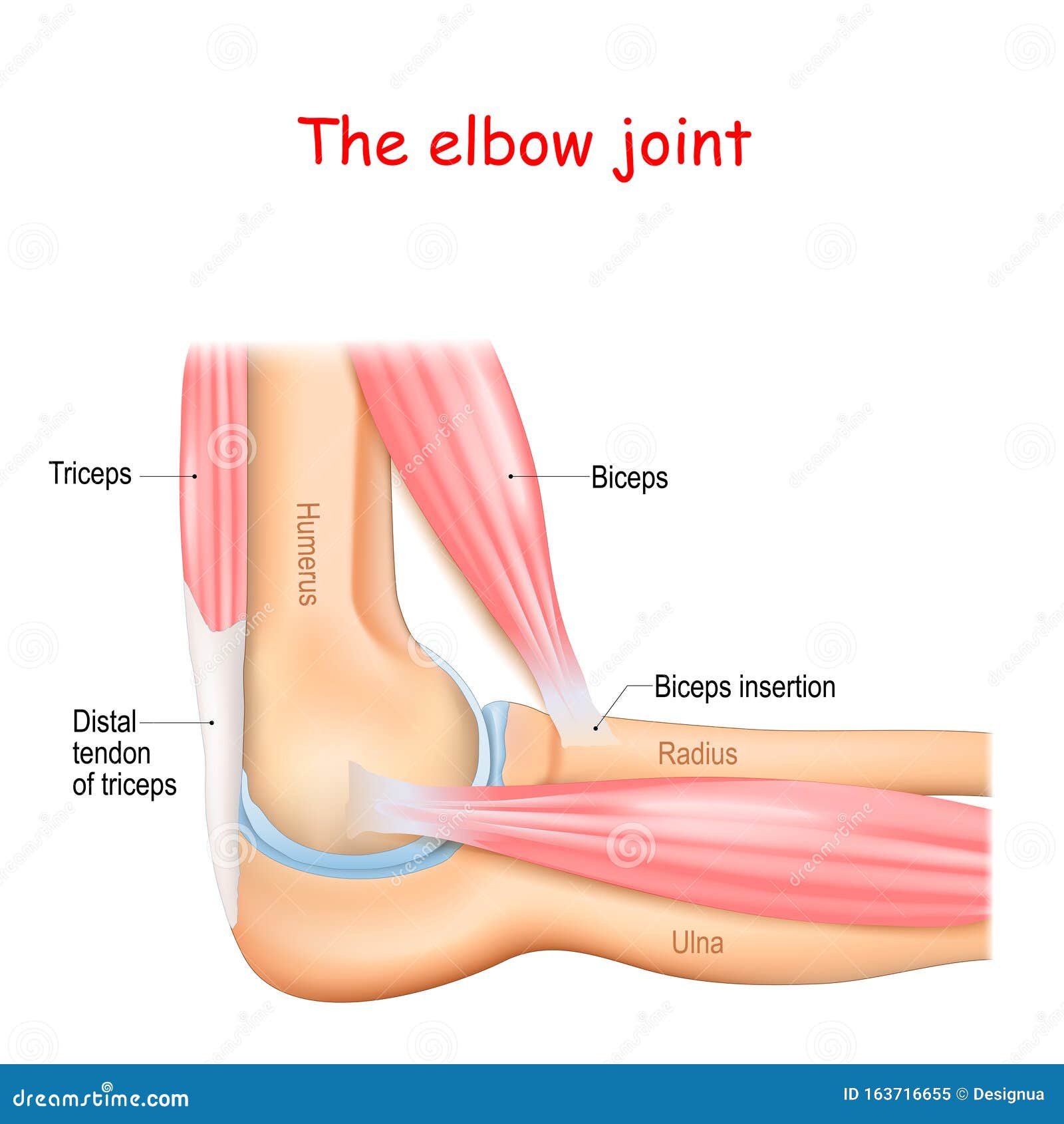 Zipping и эффект Elbow