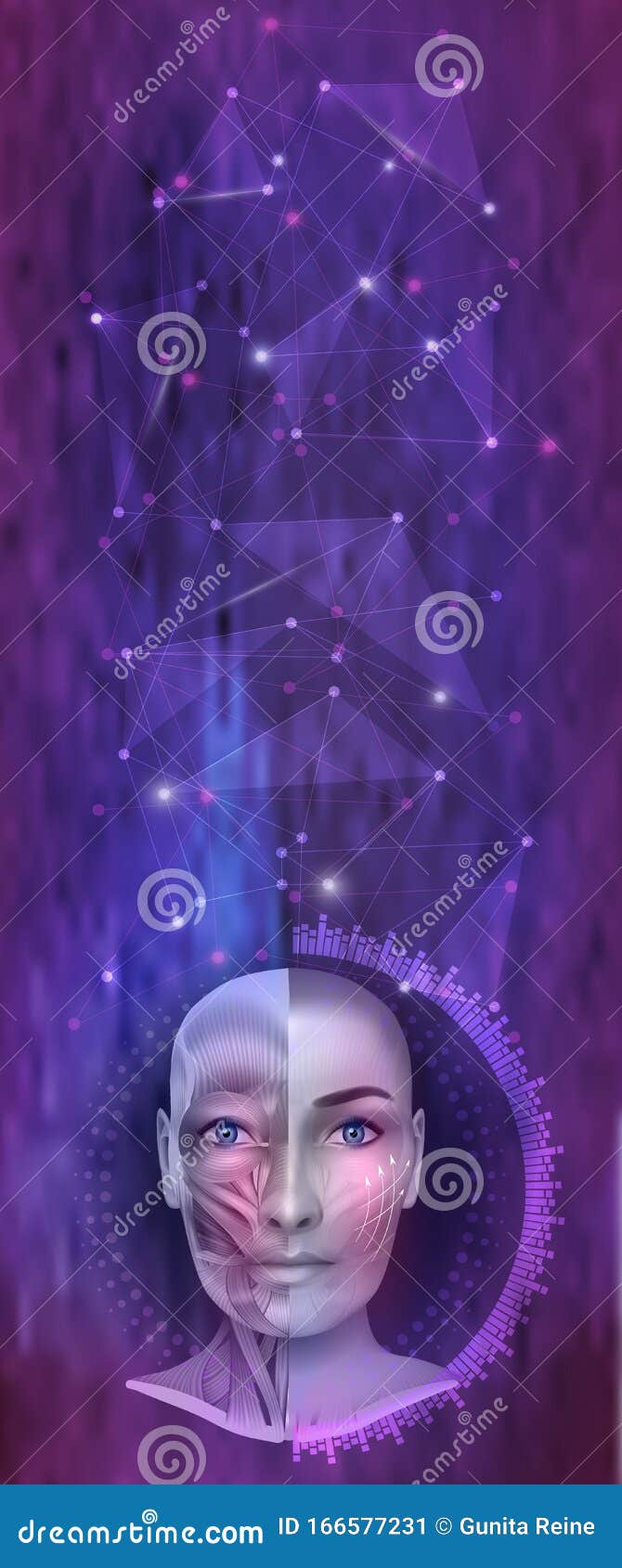 Анатомия стороны иллюстрация вектора. иллюстрации насчитывающей ...