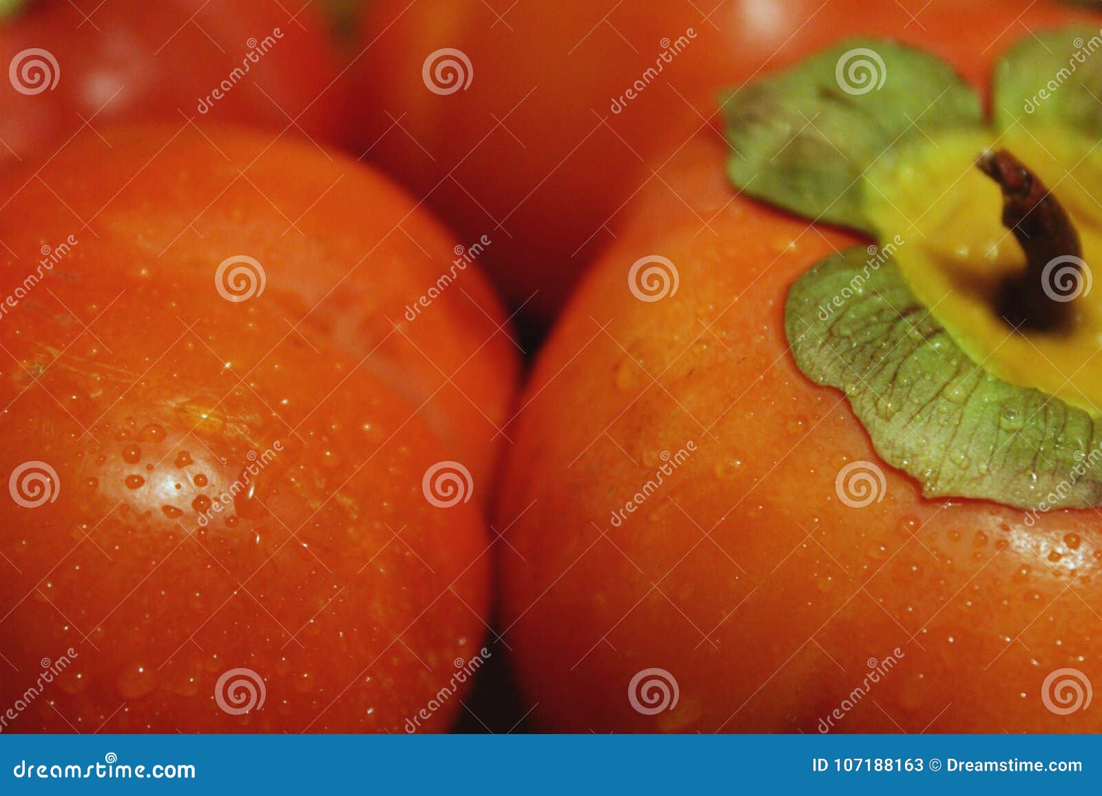 Апельсин, яркий восточный плодоовощ хурмы в капельках воды с leves Макрос. Восточный плодоовощ хурмы в капельках воды предпосылка Плодоовощ deautiful, яркий оранжевый цвет Макрос