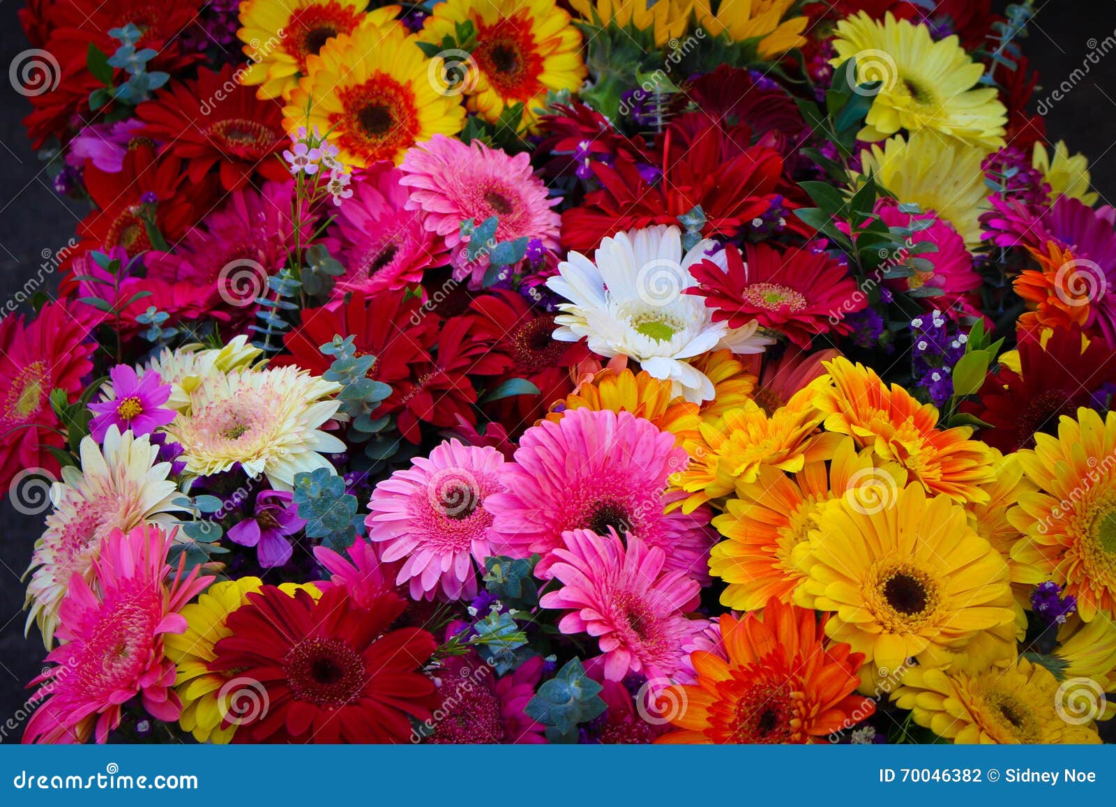 Цветы ассортимент купить цветы в центре нижнего новгорода