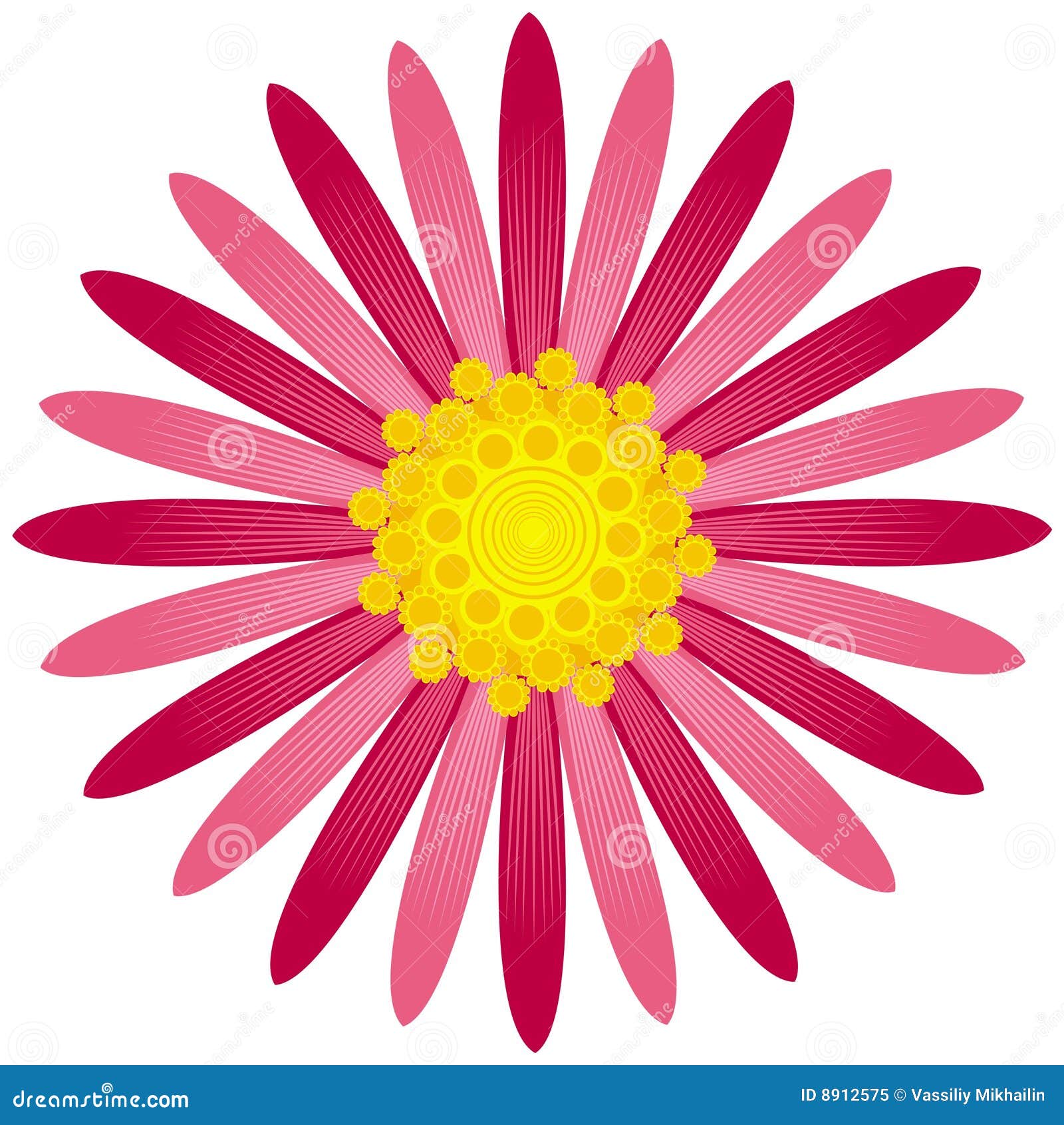 астра иллюстрация штока. иллюстрации насчитывающей бобра - 8912575