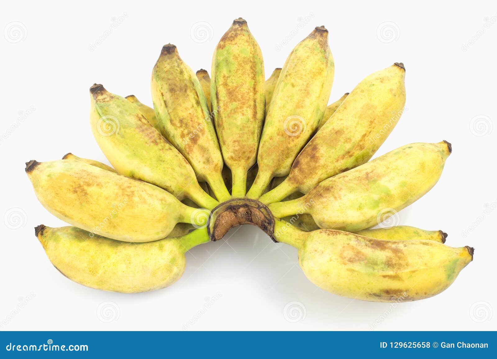 Awak pisang Pisang :