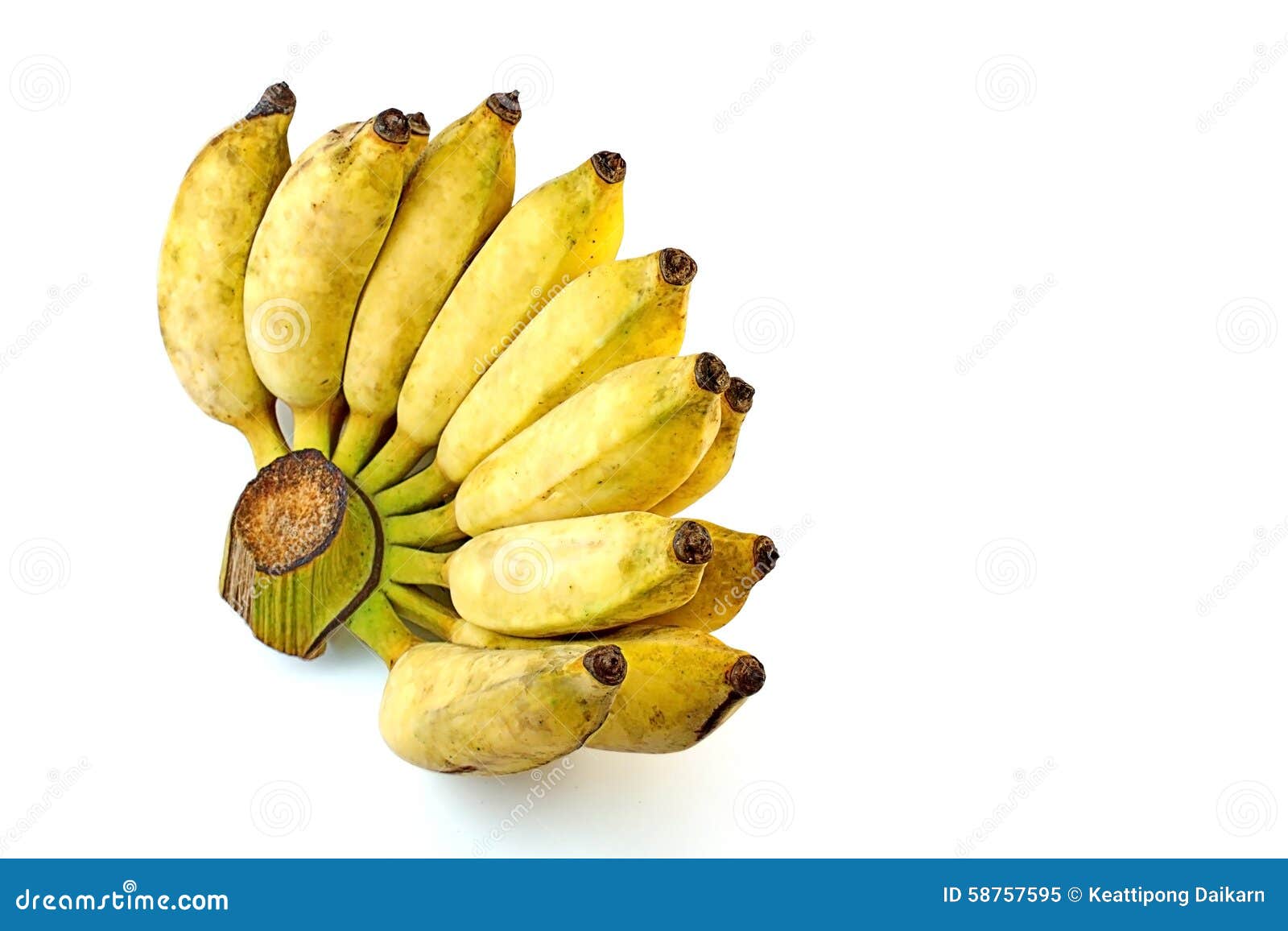 Pisang awak