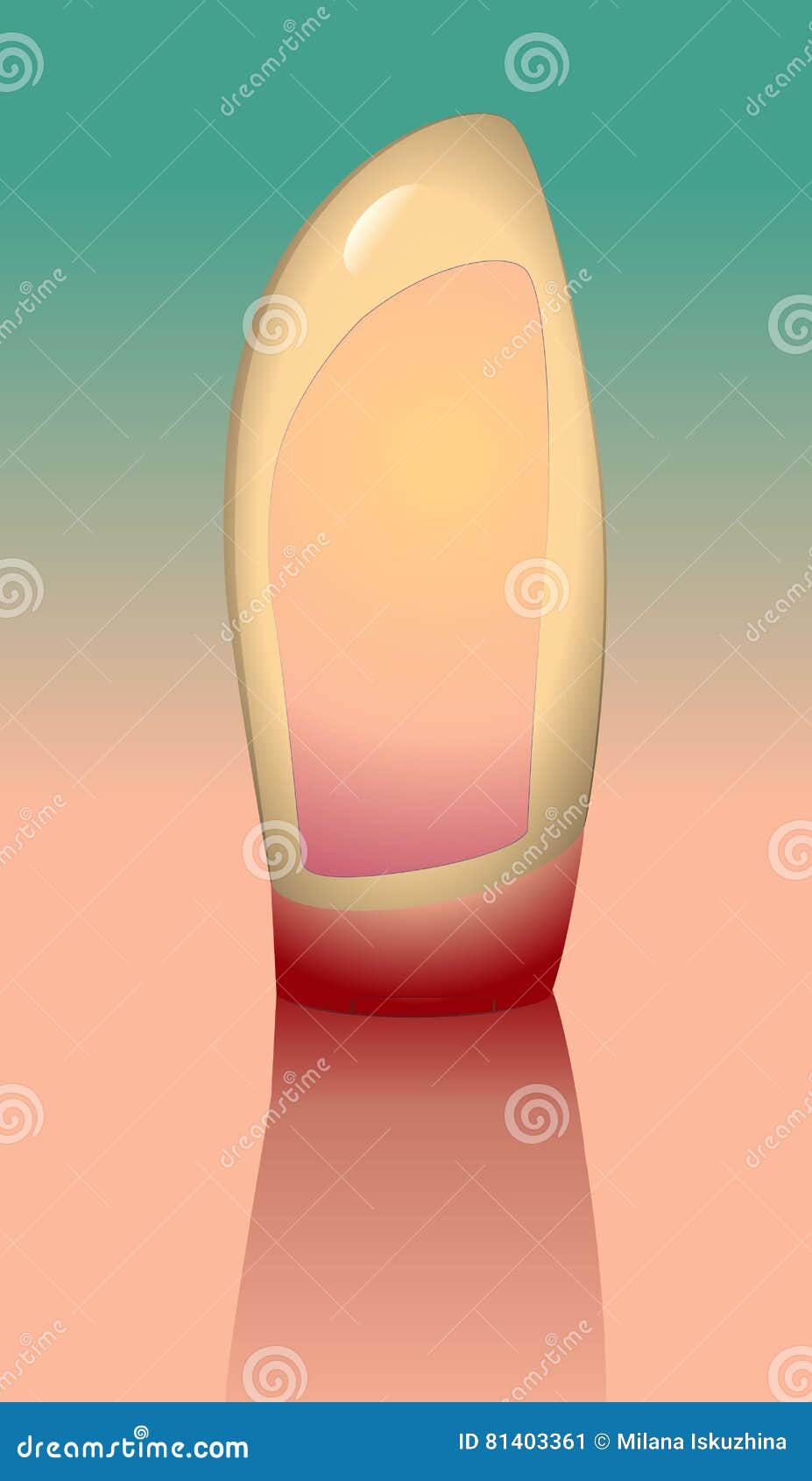 Белизна бутылки насоса распределителя геля, пены или жидкостного мыла ...