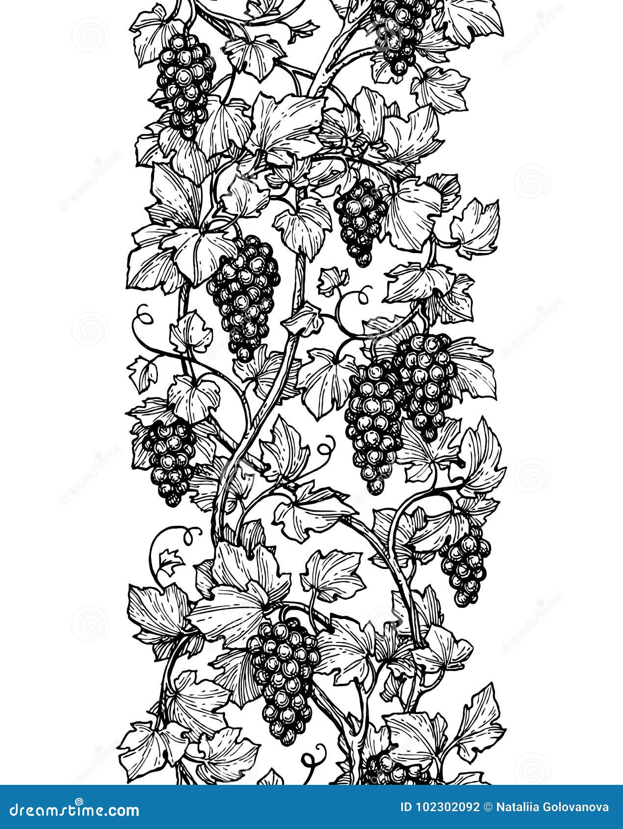 Виноград в графическом стиле