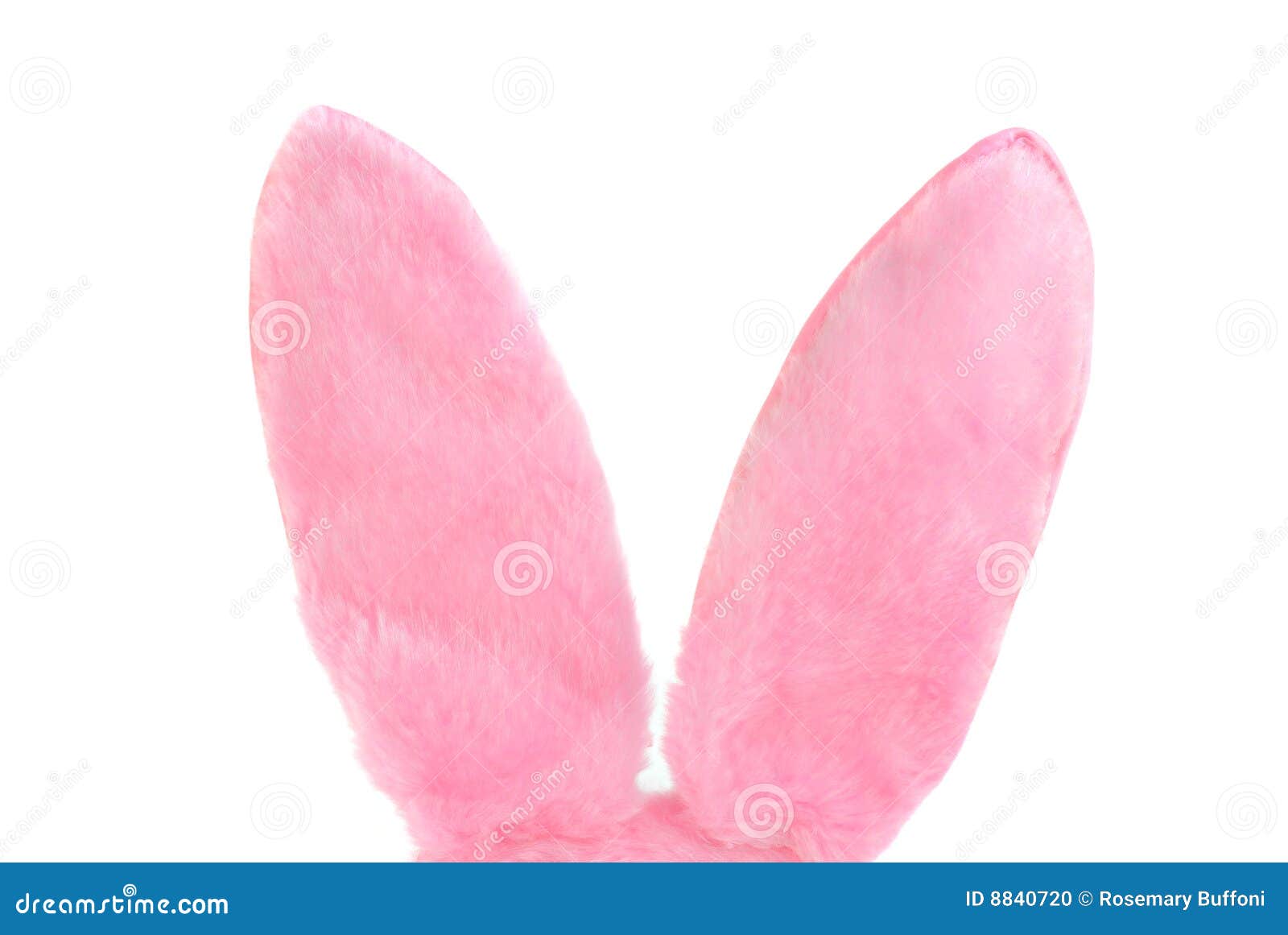 Розовые ушки кролика