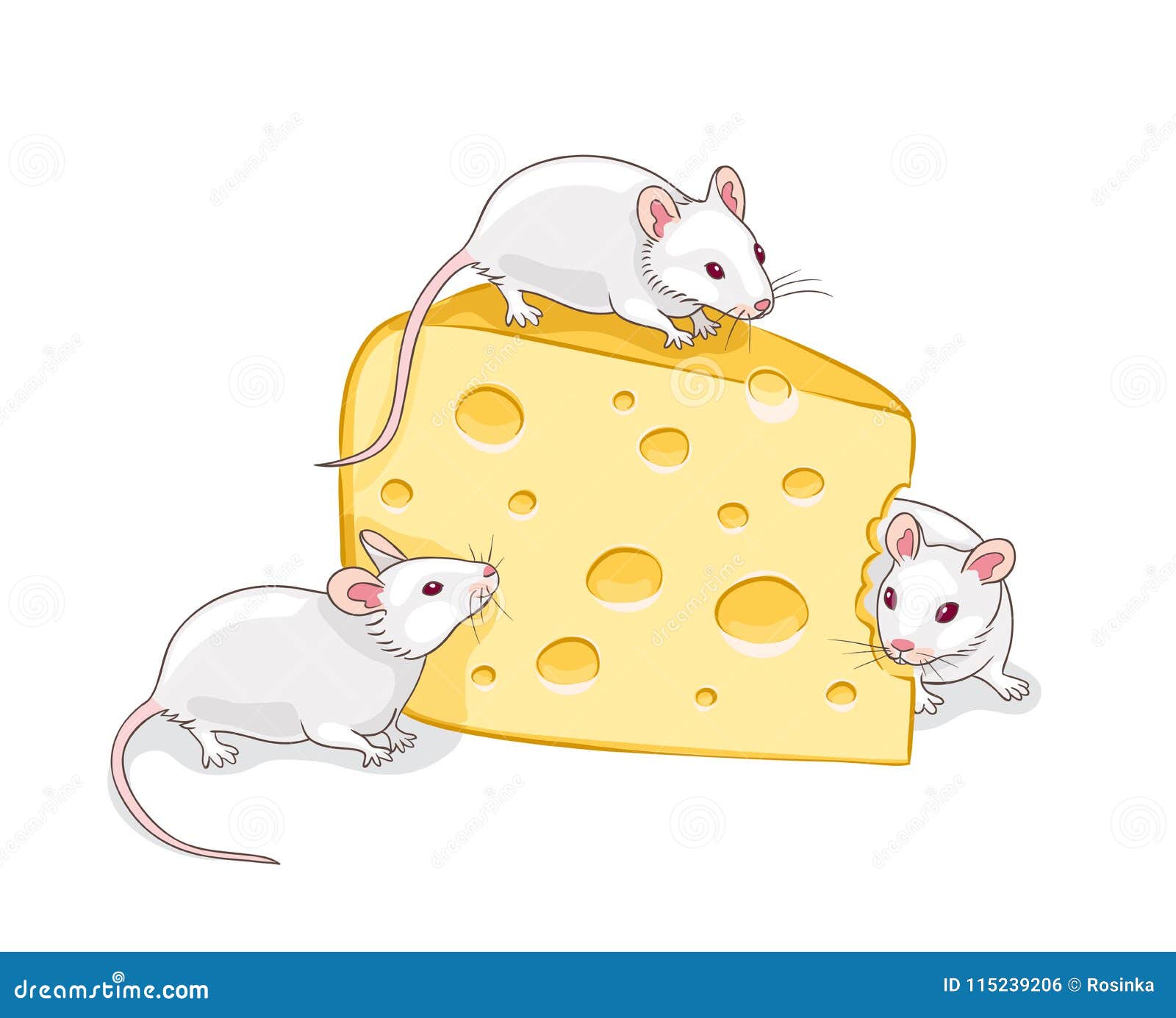 Мышь и сыр на белом фоне